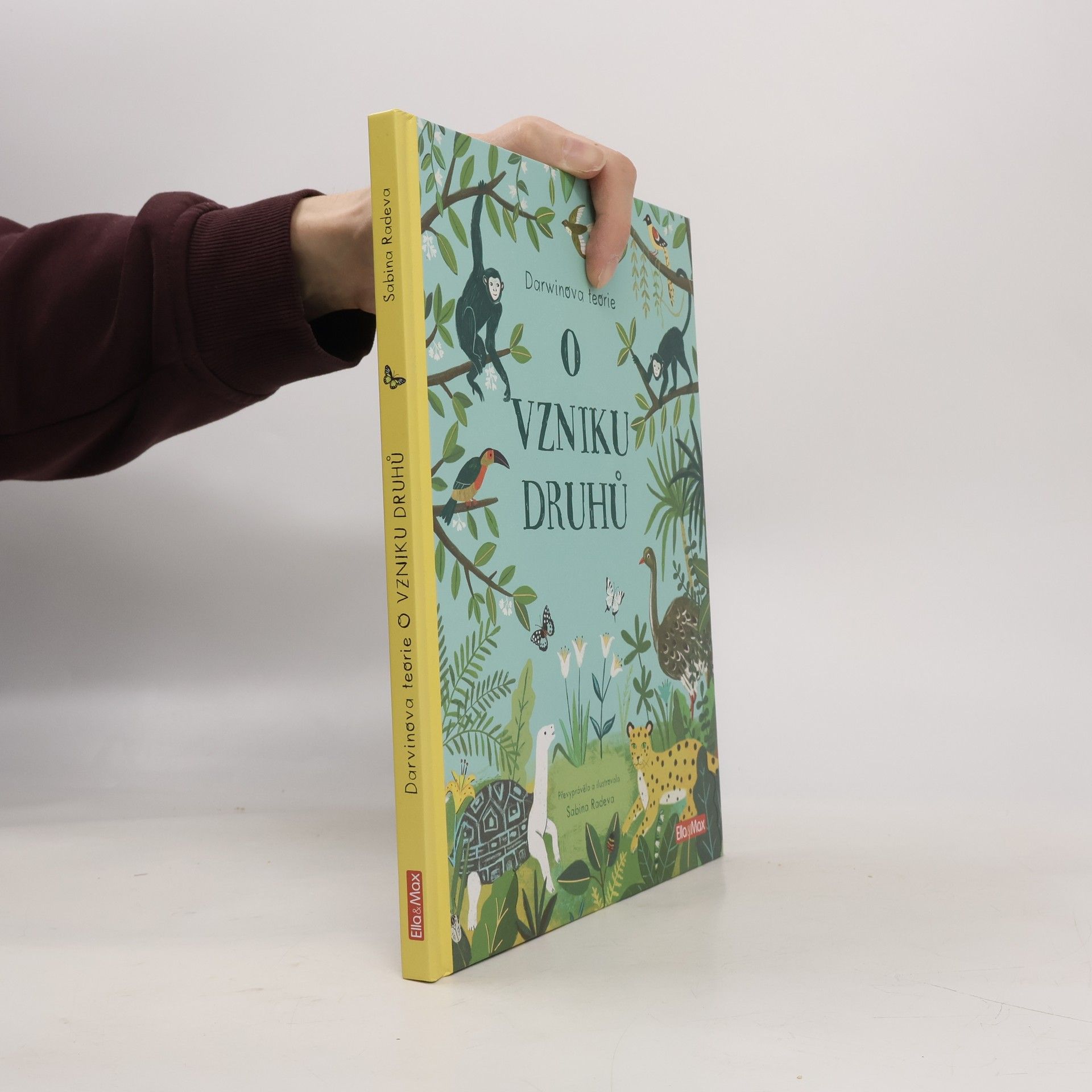 Sabina Radeva O vzniku druhů