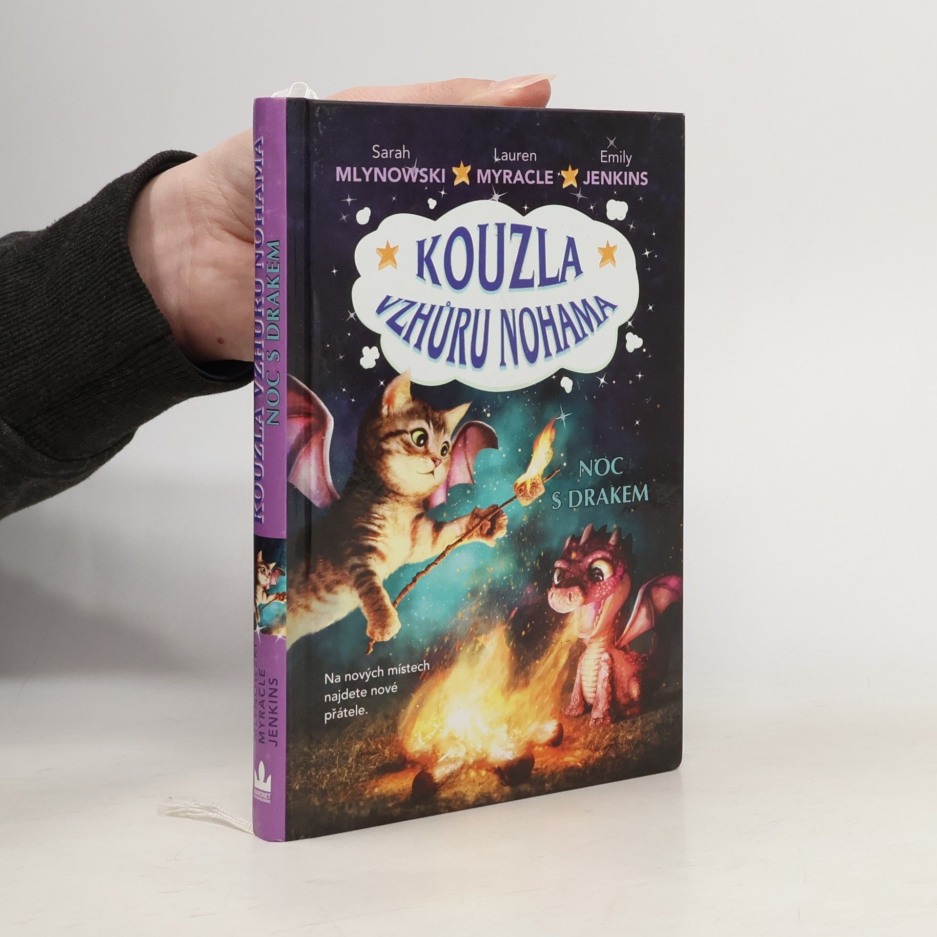Lauren Myracle Noc s drakem