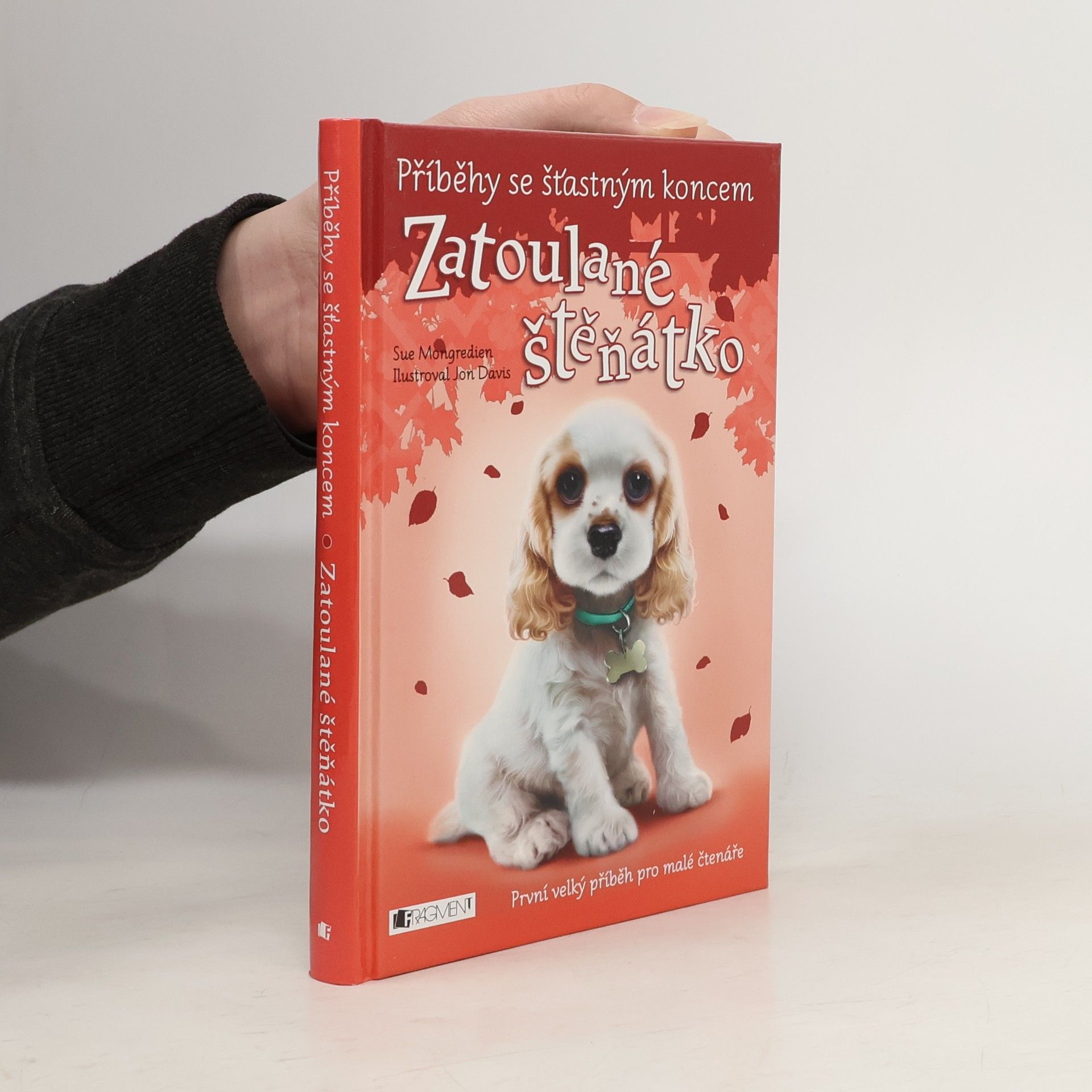 Zatoulané štěňátko