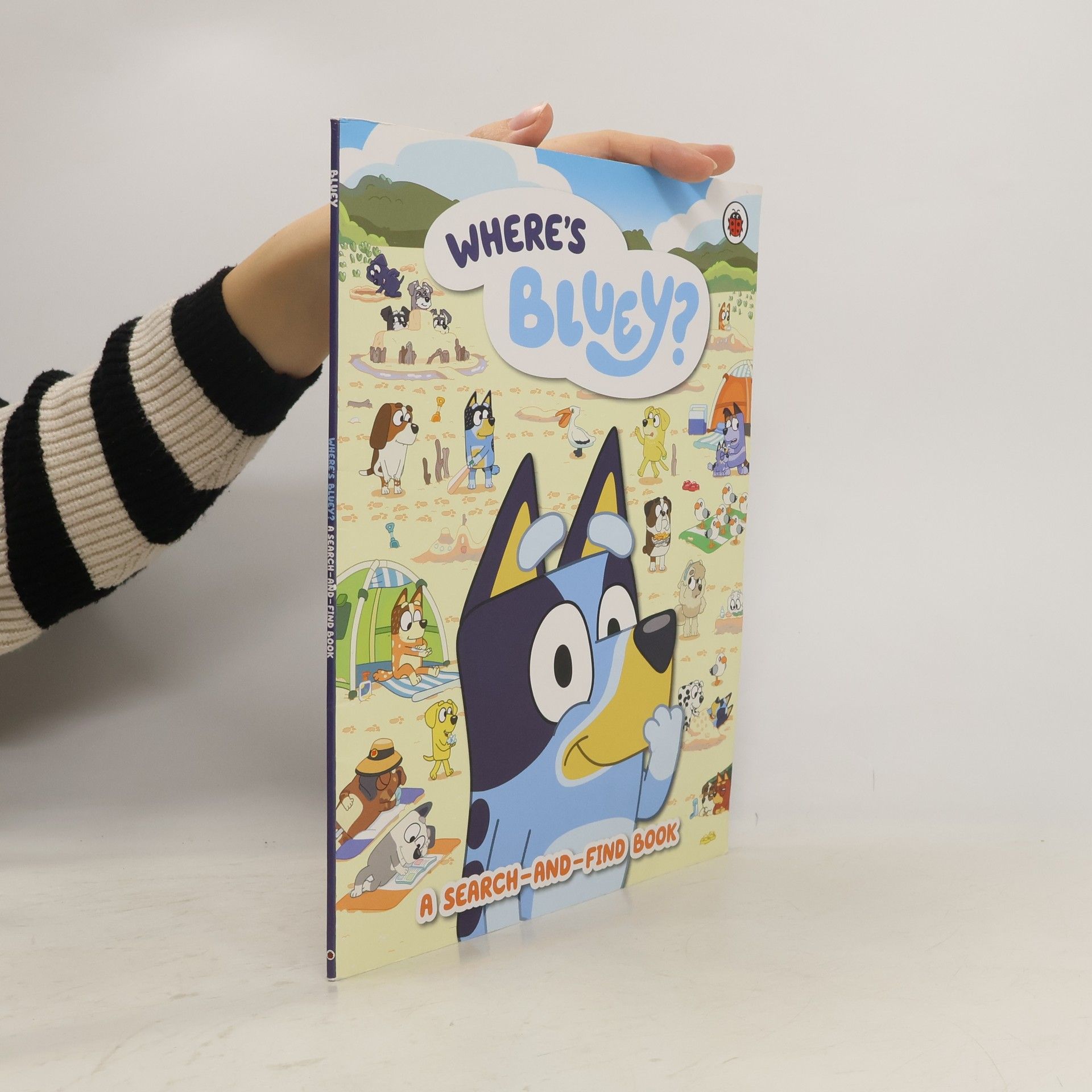 Bluey Where's Bluey? : A Search-and-Find Book