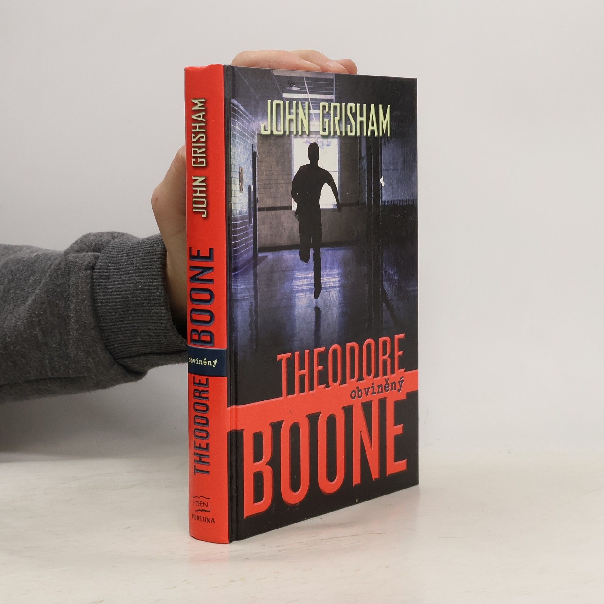 John Grisham Theodore Boone : obviněný