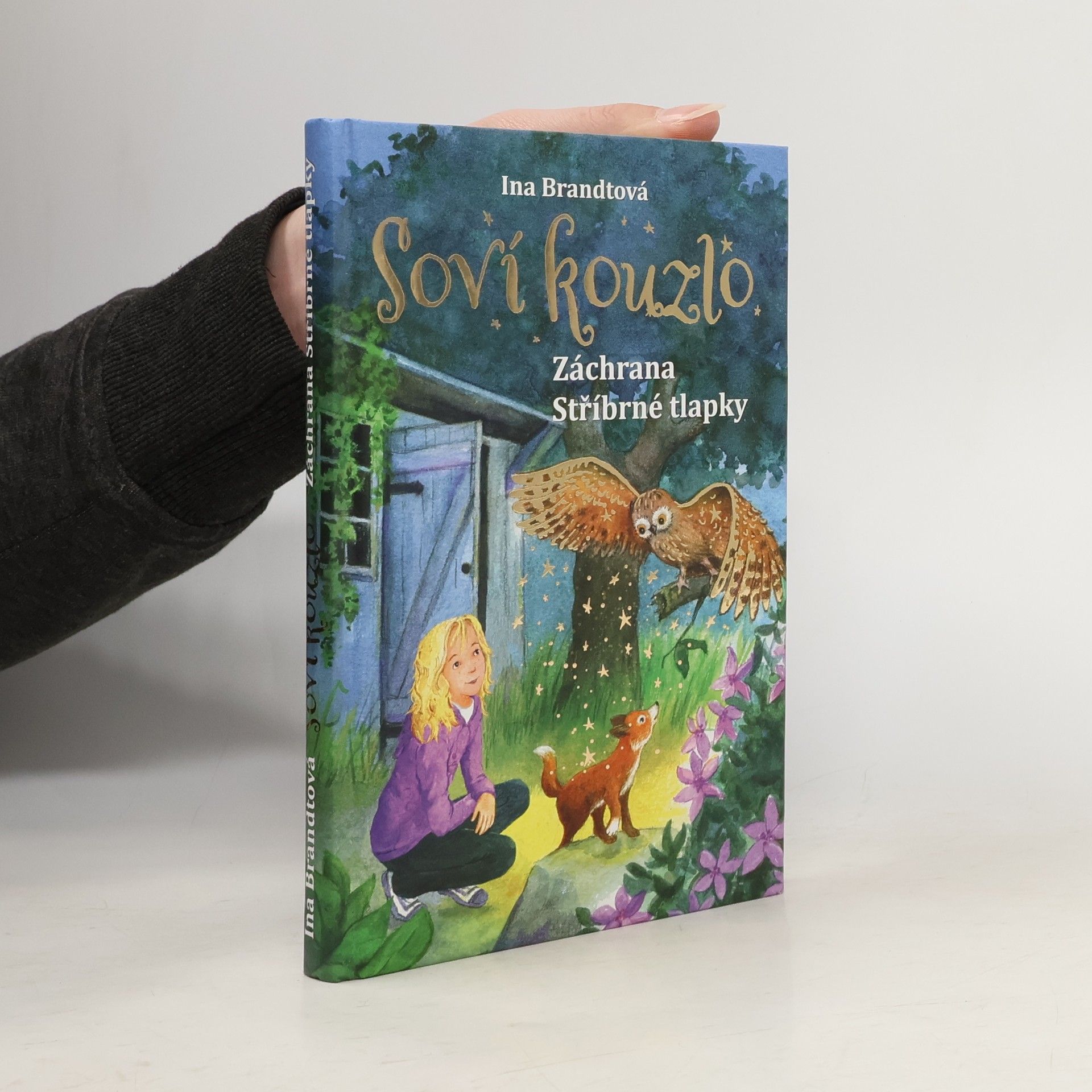 Ina Brandt Záchrana Stříbrné tlapky. Soví kouzlo