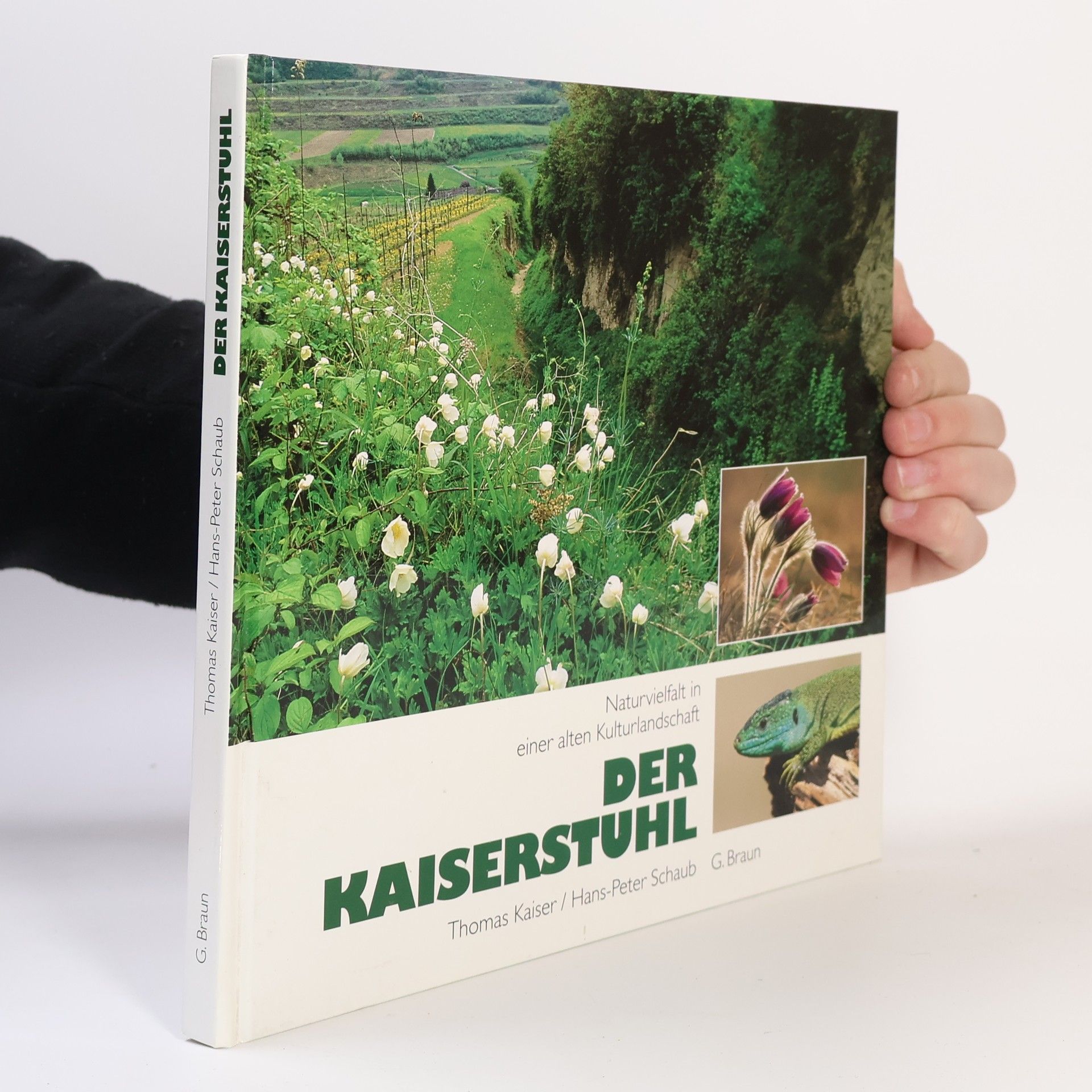 Thomas O. H. Kaiser Der Kaiserstuhl