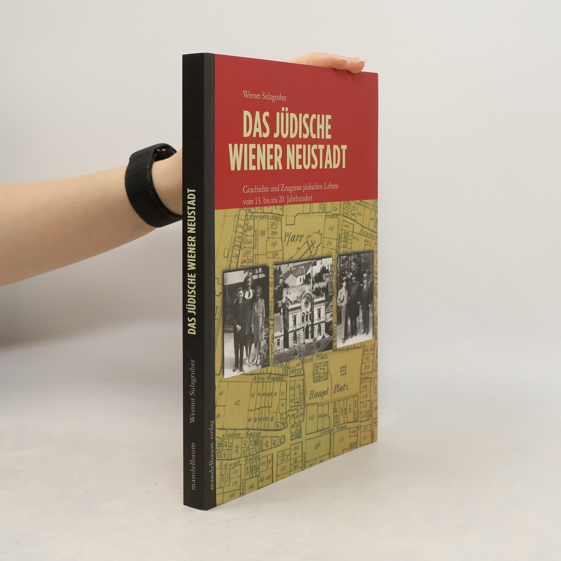 Werner Sulzgruber Das jüdische Wiener Neustadt