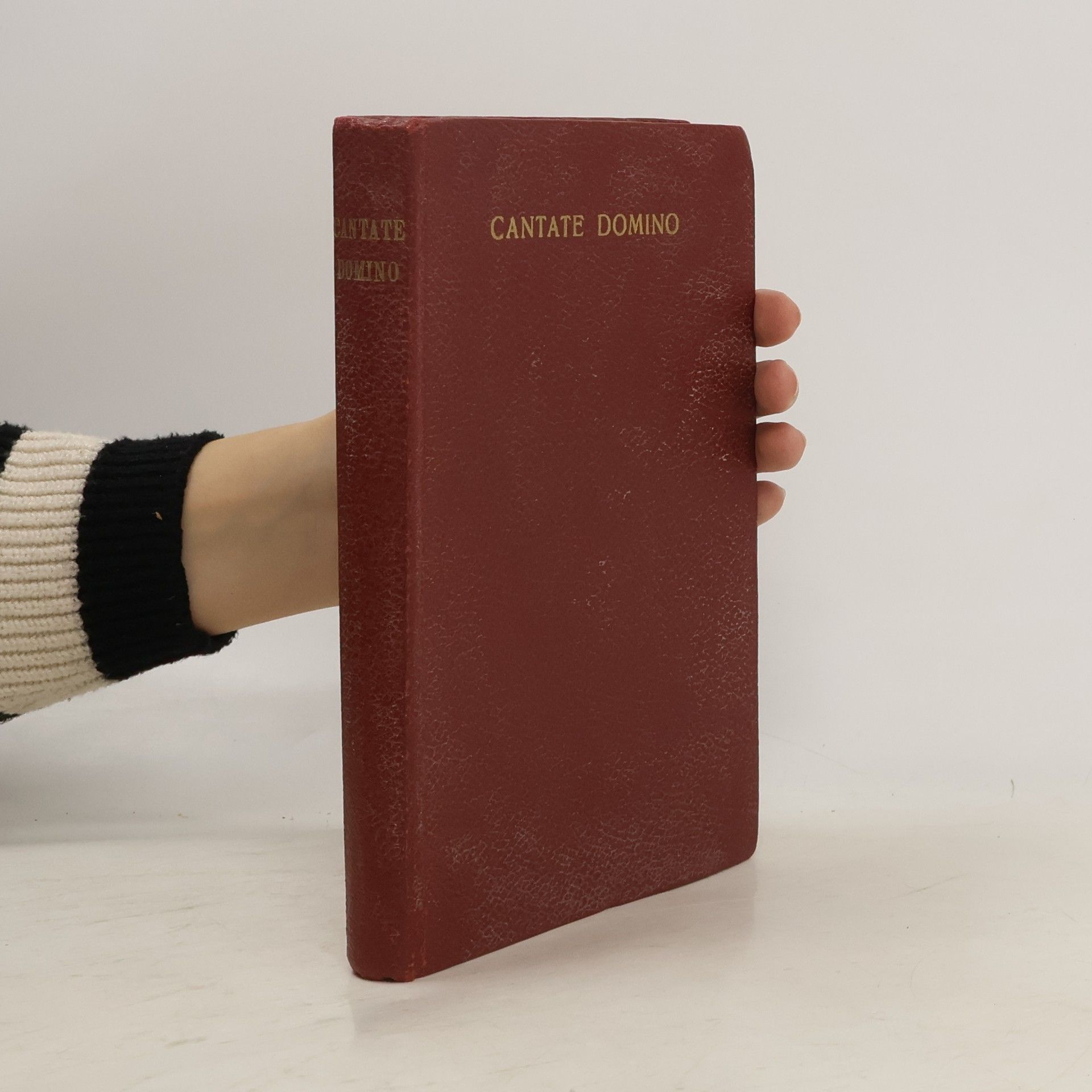kolektiv Cantate Domino
