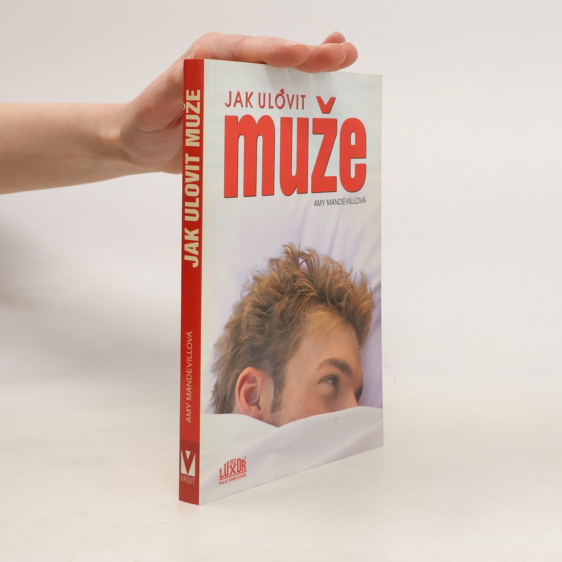 Amy Mandeville Jak ulovit muže