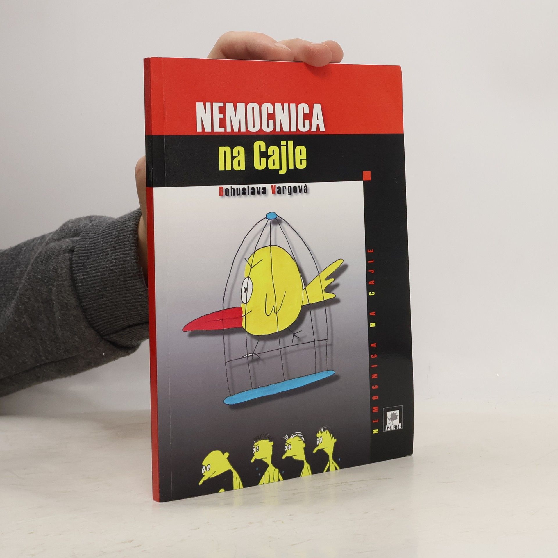 Bohuslava Hábovčíková Nemocnica na Cajle