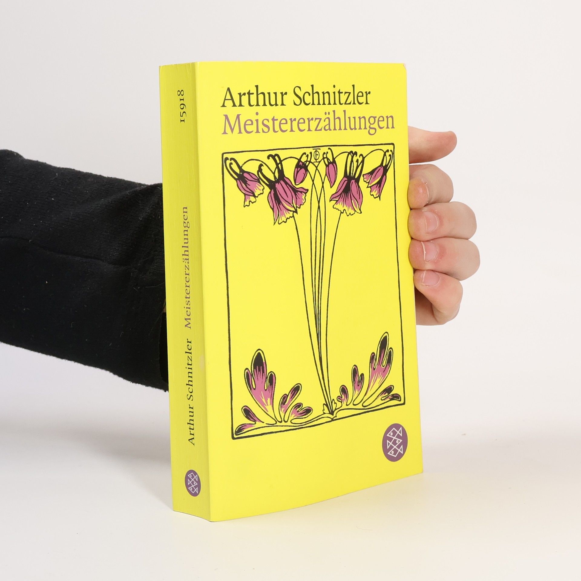 Arthur Schnitzler Meistererzählungen