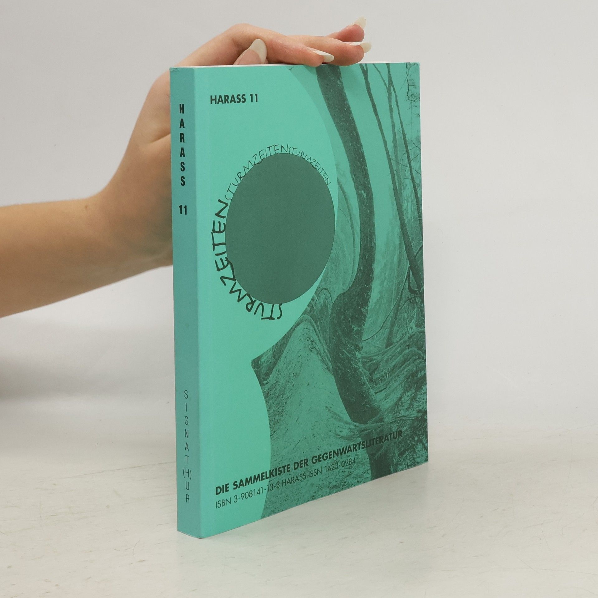 AA.VV. Sturmzeiten 11