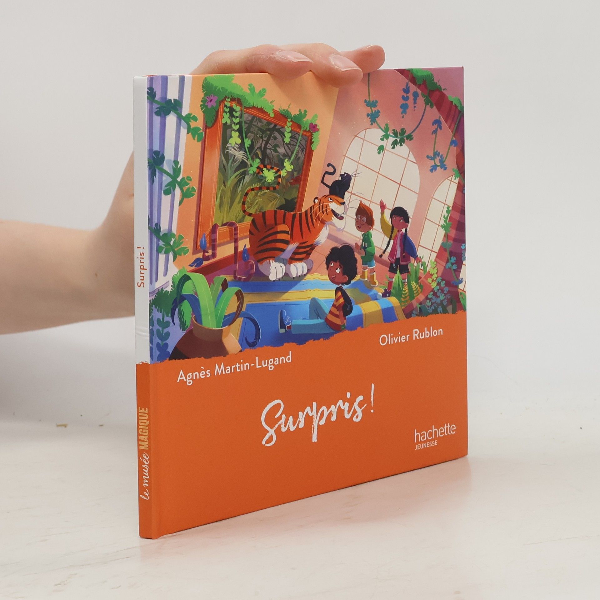 Autorenkollektiv Surpris!