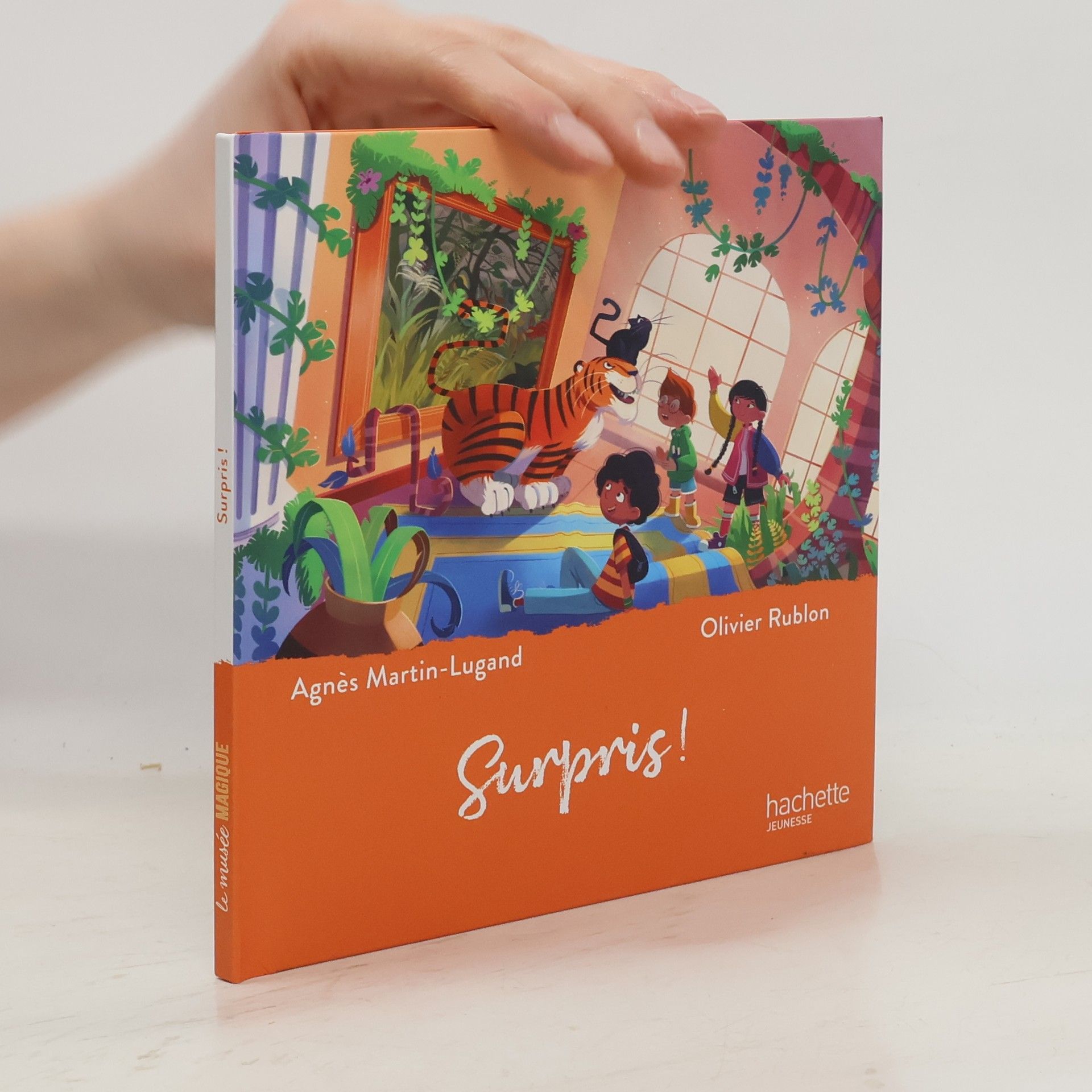 AA.VV. Surpris!