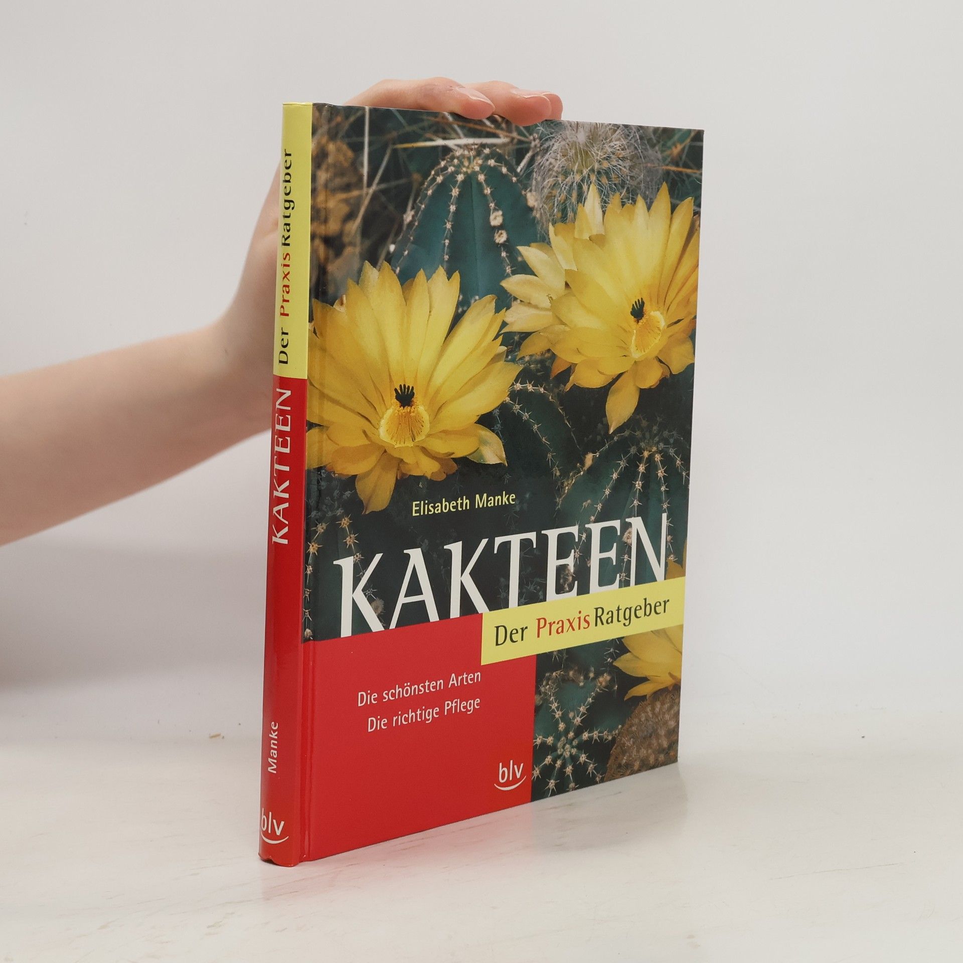 Elisabeth Manke Kakteen