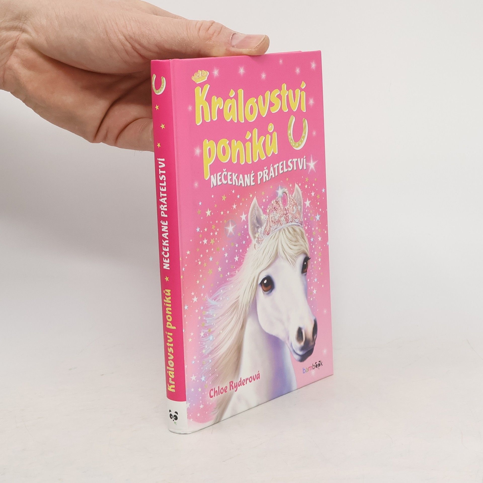 Chloe Ryder Nečekané přátelství