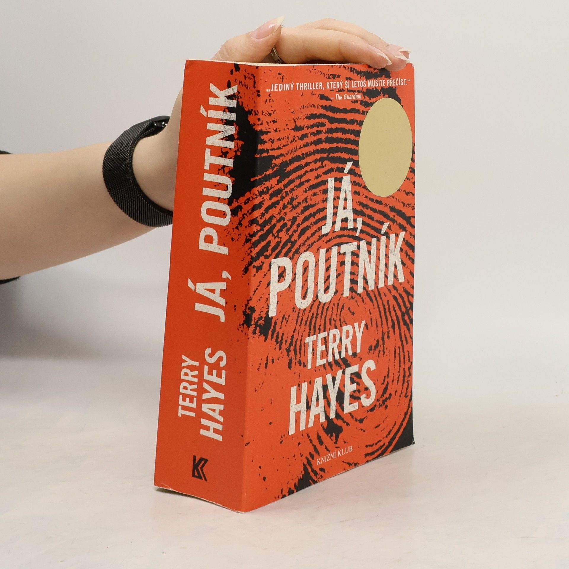 Terry Hayes Já, Poutník