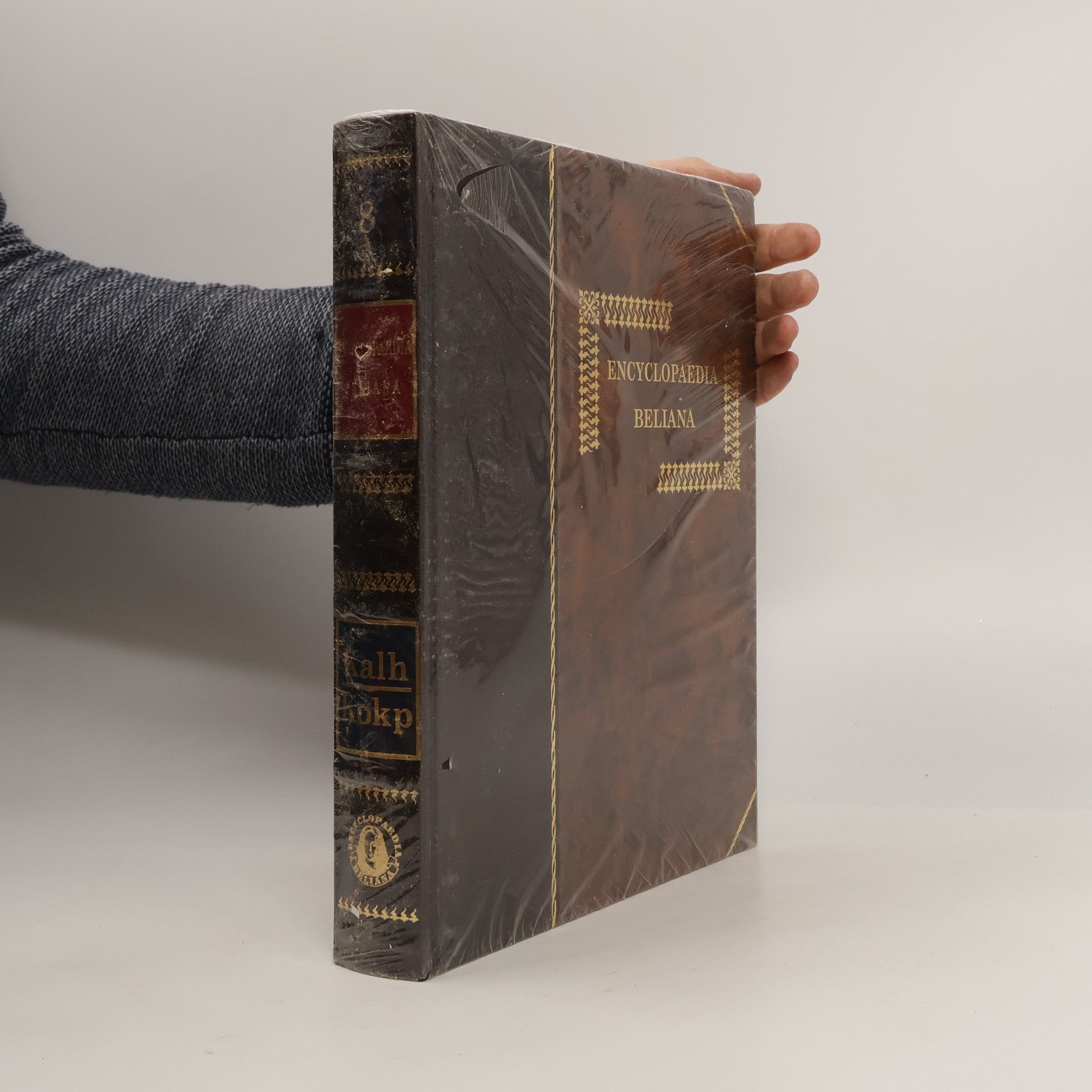 Autorenkollektiv Encyclopaedia Beliana 8