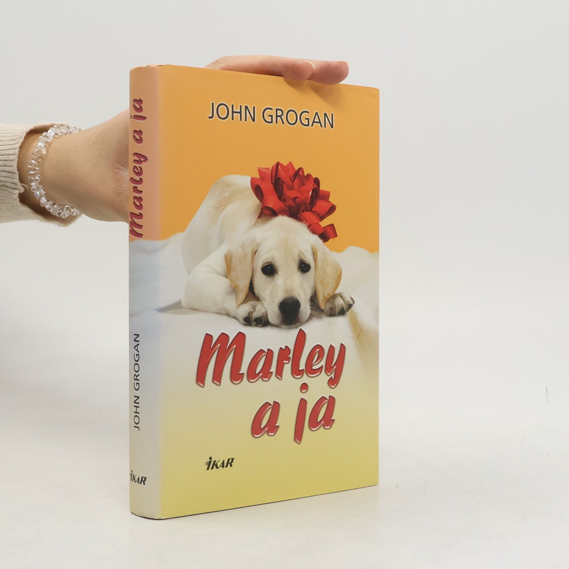 John Grogan Marley a ja