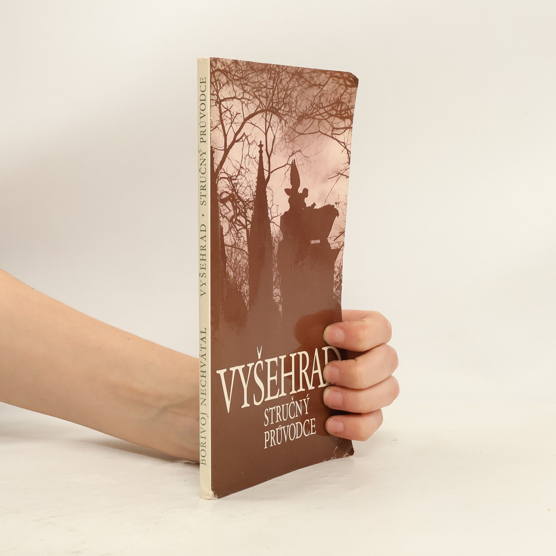 Bořivoj Nechvátal Vyšehrad. Stručný průvodce