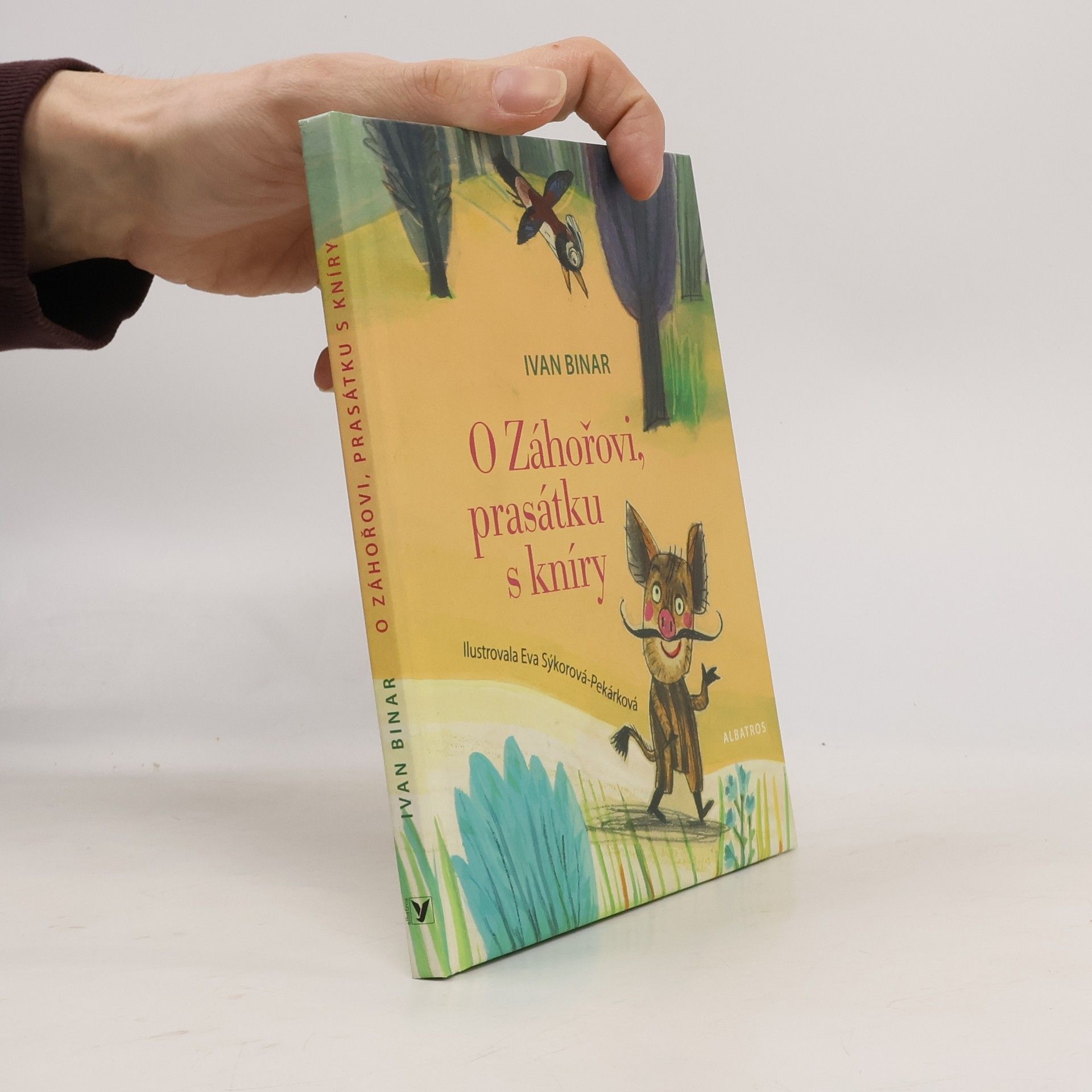 O Záhořovi, prasátku s kníry