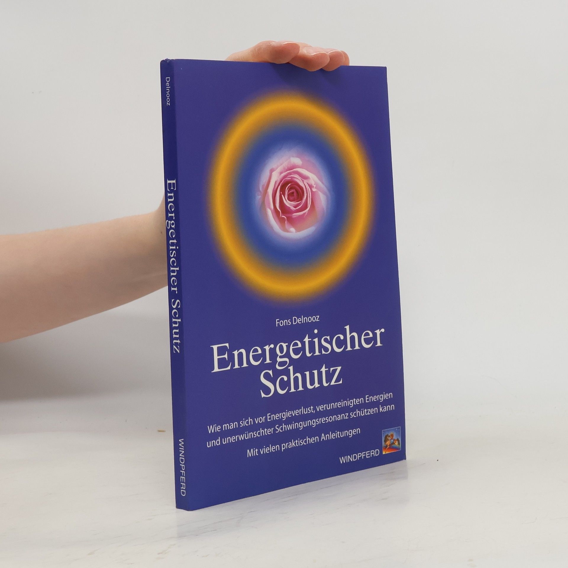 Fons Delnooz Energetischer Schutz