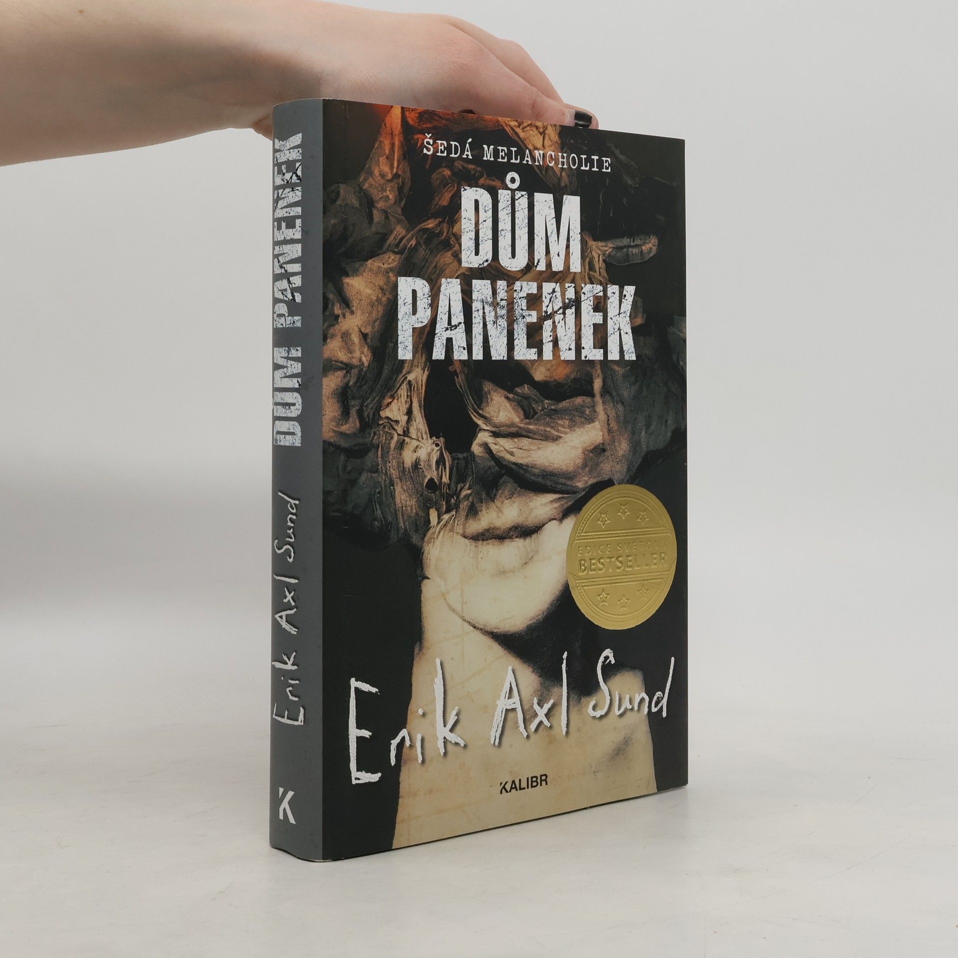 Erik Axl Sund Dům panenek