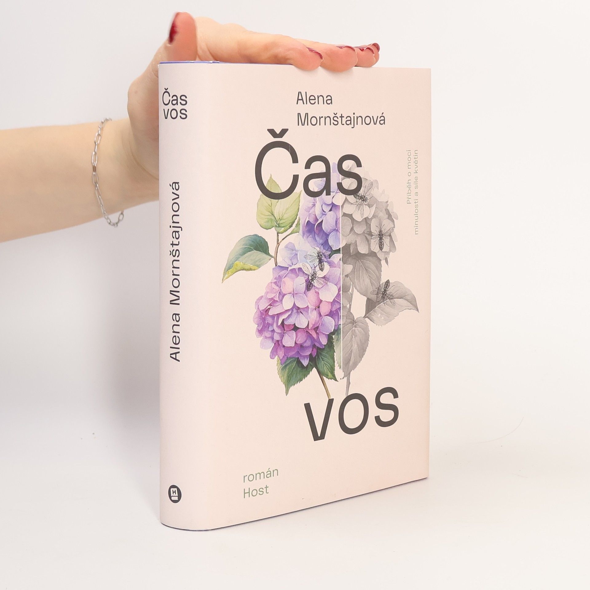 Alena Mornštajnová Čas vos