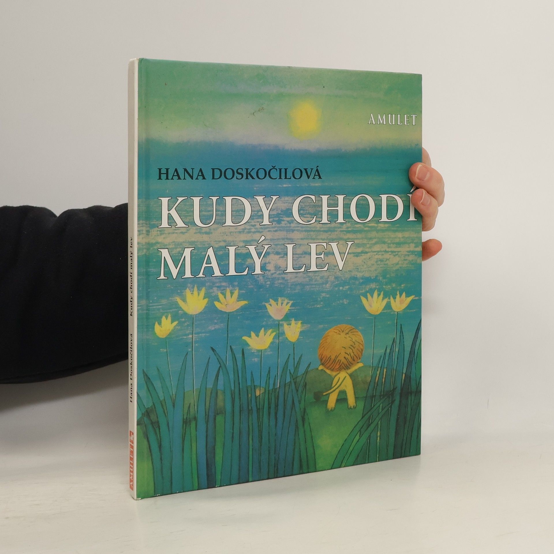 Hana Doskočilová Kudy chodí malý lev