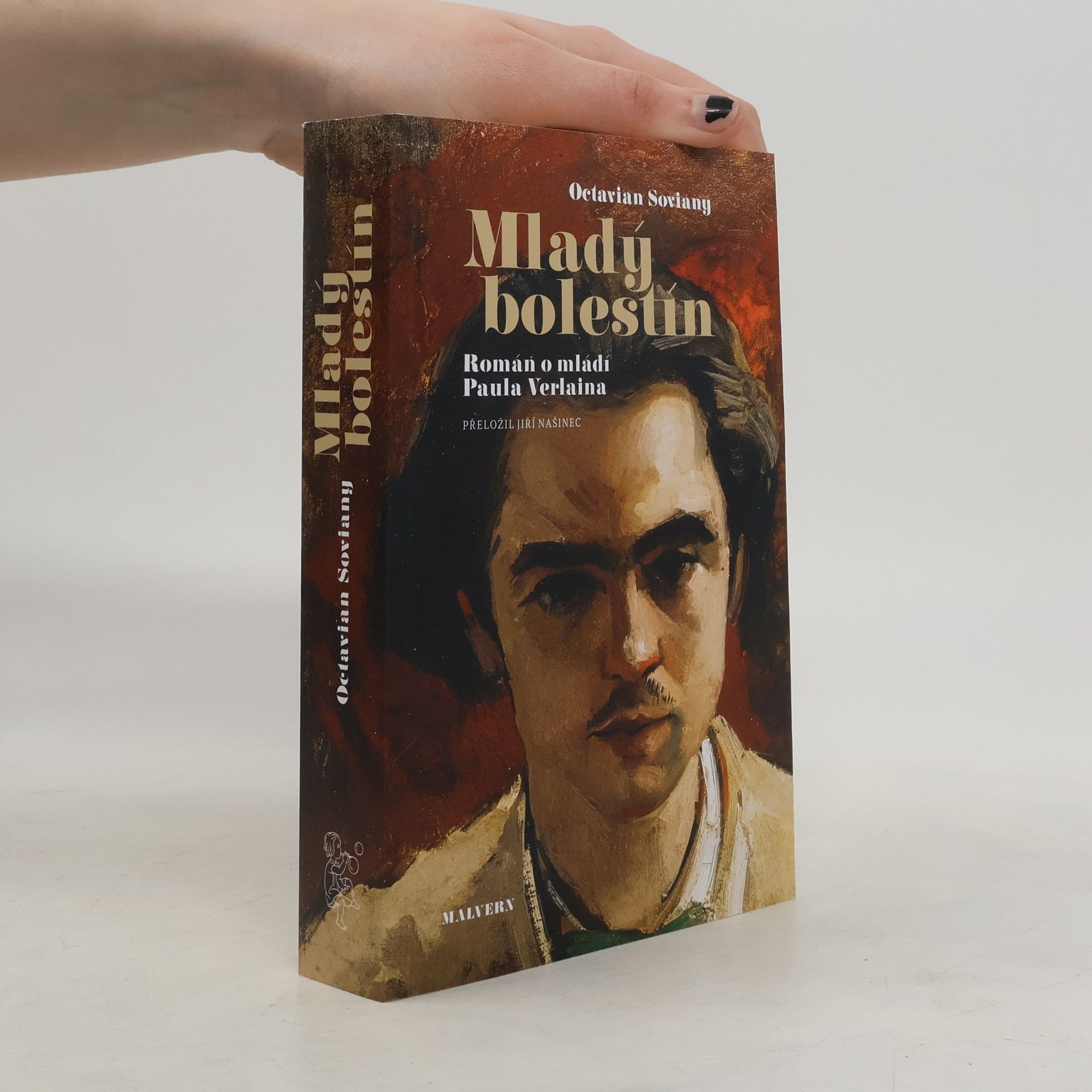 Mladý bolestín: Román o mládí Paula Verlaina