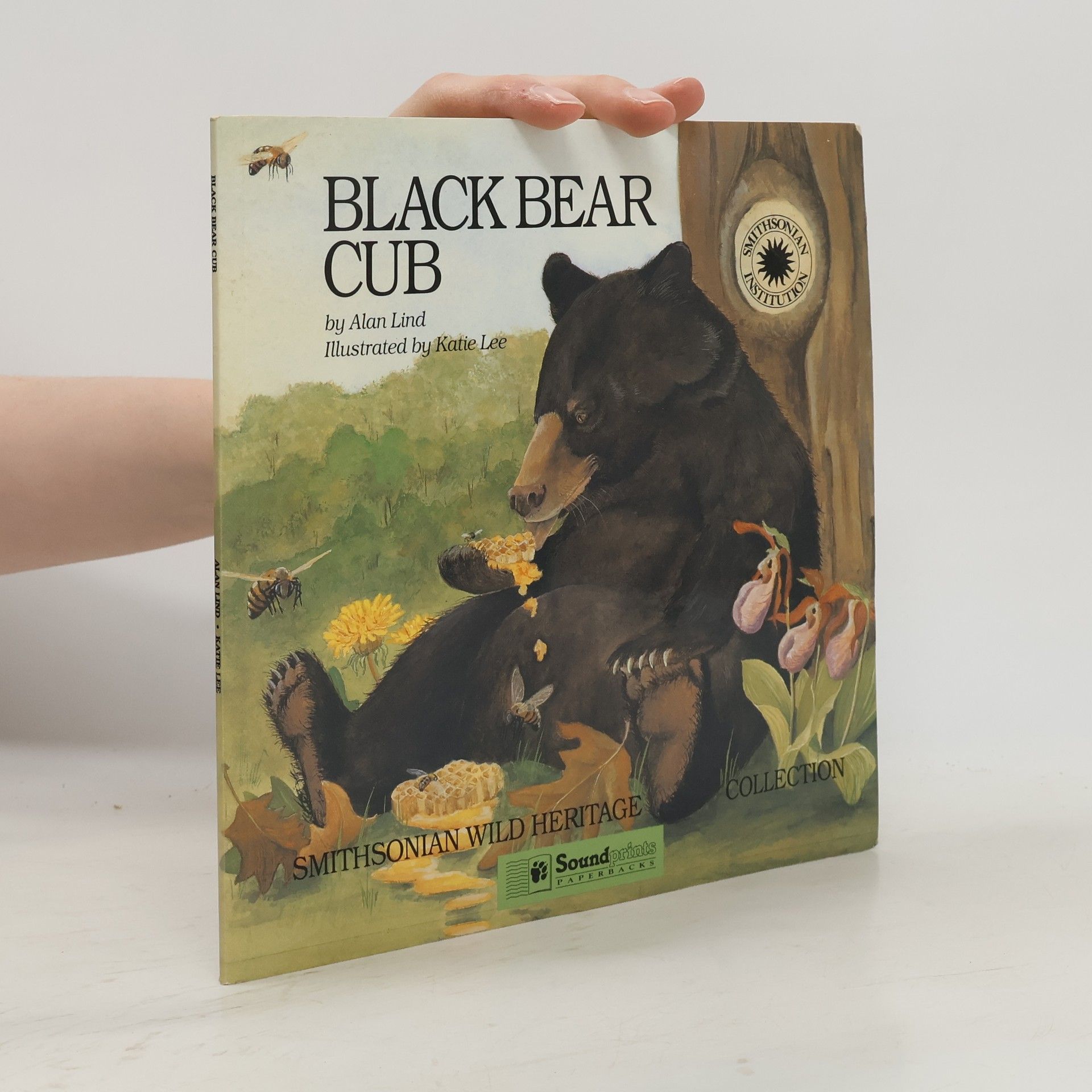 Alan Lind Black Bear Cub