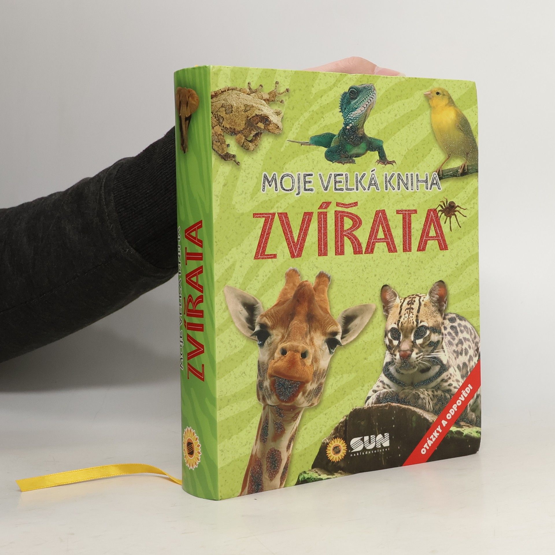 Francesca Bignotti Zvířata