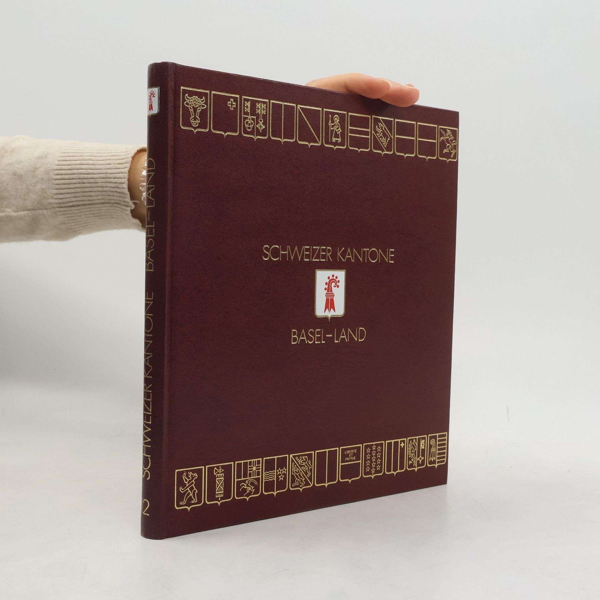 kolektiv Schweizer Kantone 2