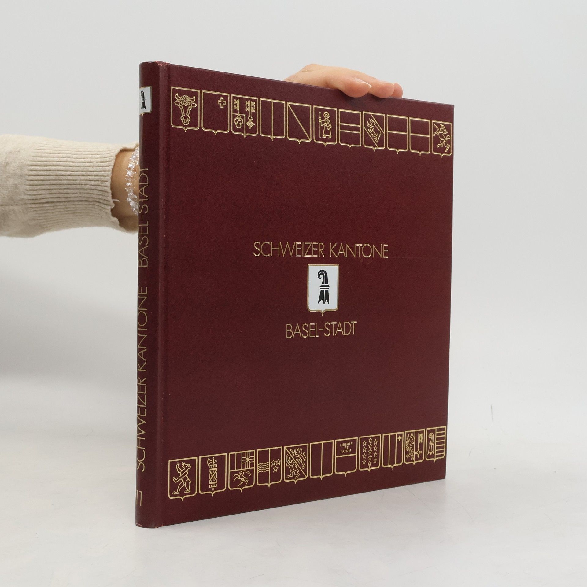 kolektiv Schweizer Kantone 11