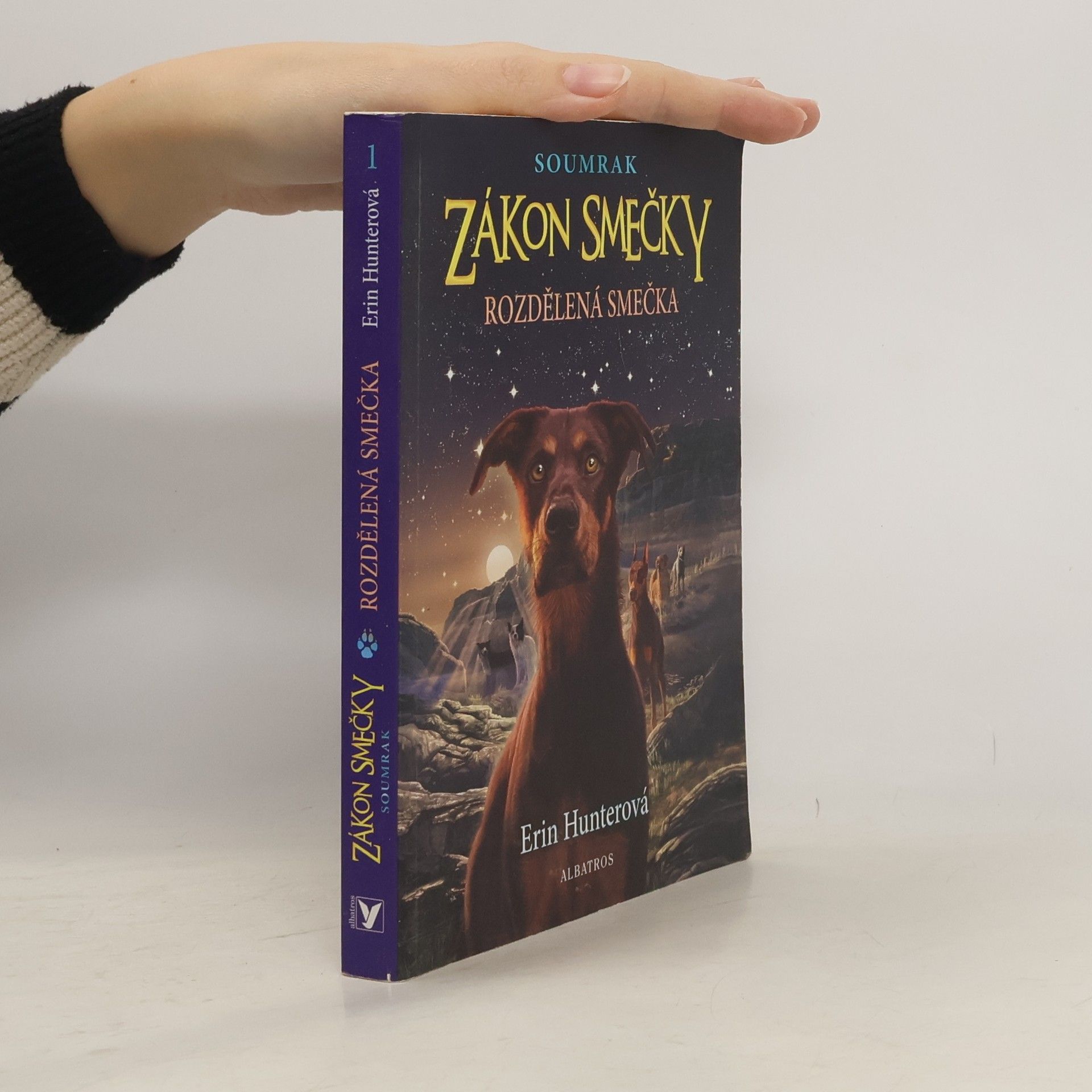 Erin Hunter Rozdělená smečka