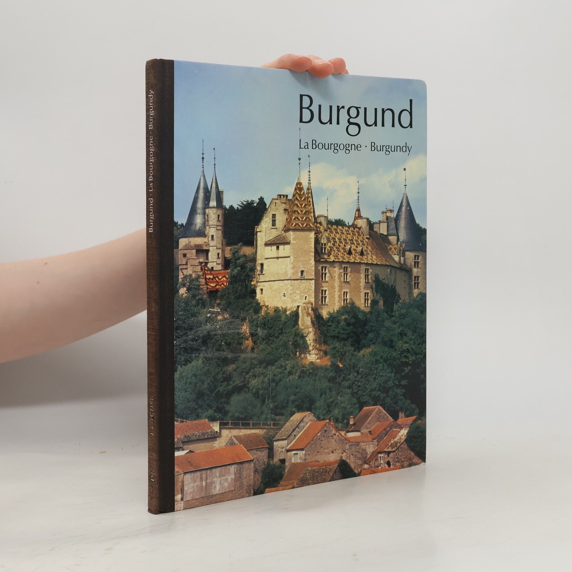 Autores varios Burgund - La Bourgogne - Burgundy