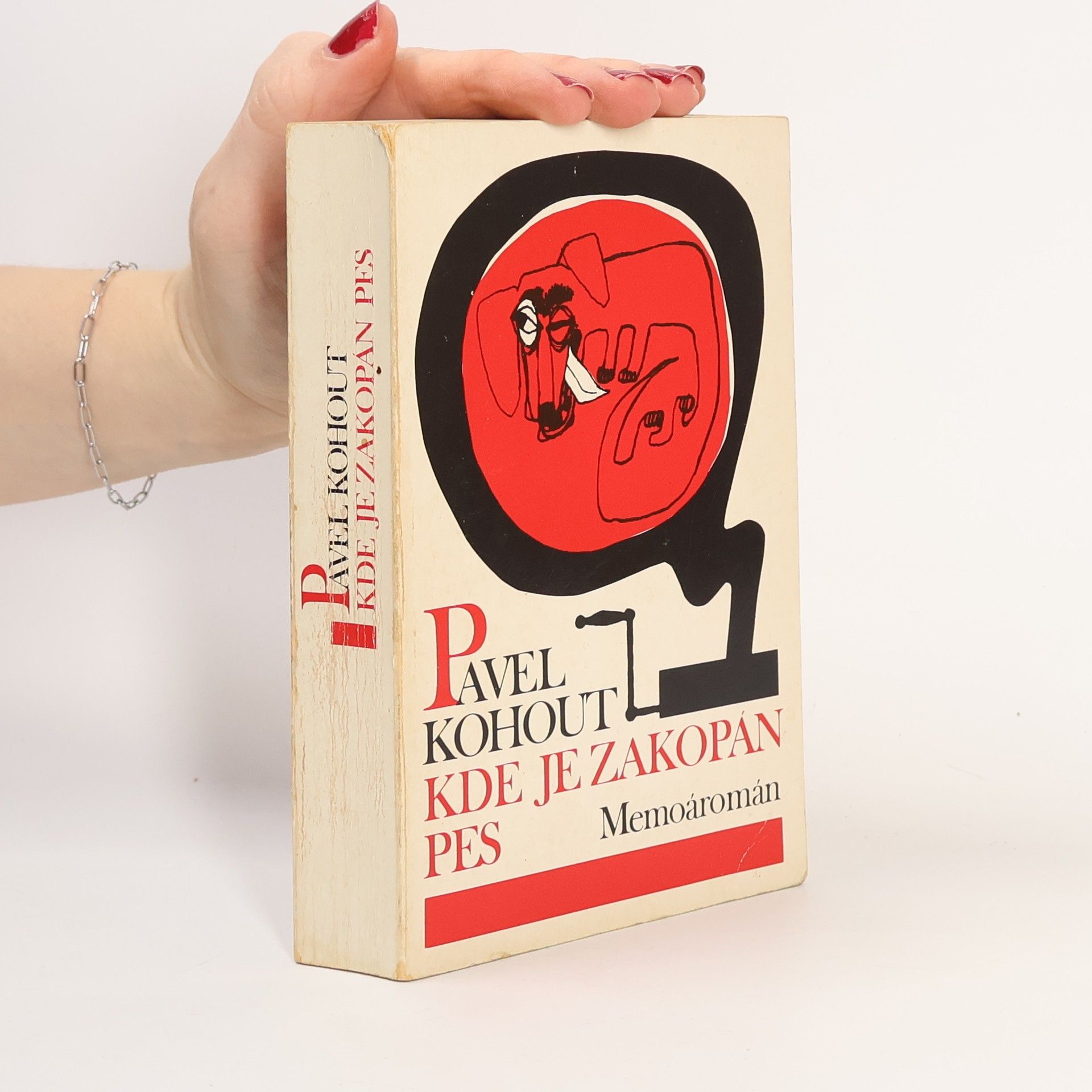 Pavel Kohout Kde je zakopán pes