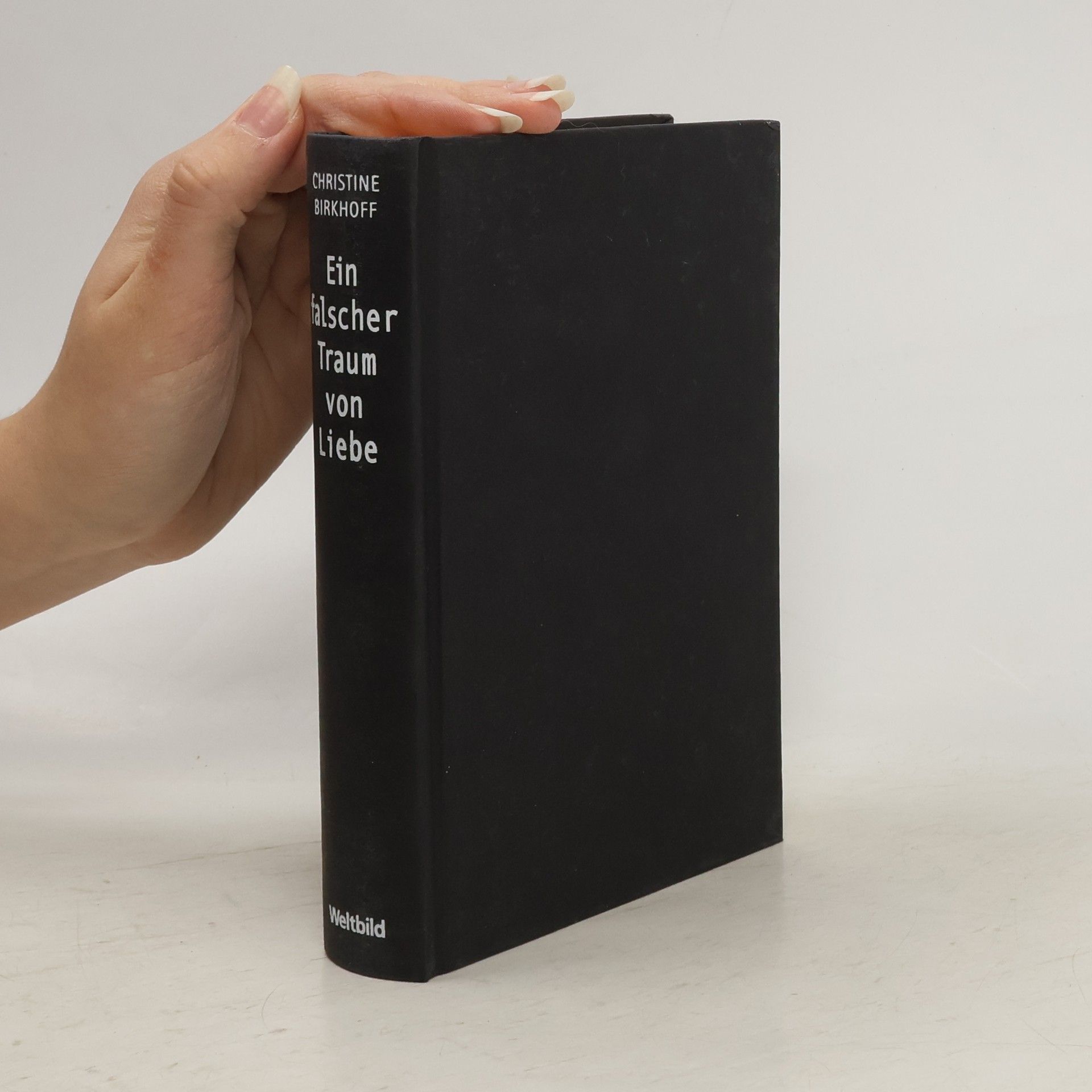 Christine Birkhoff Ein falscher Traum von Liebe
