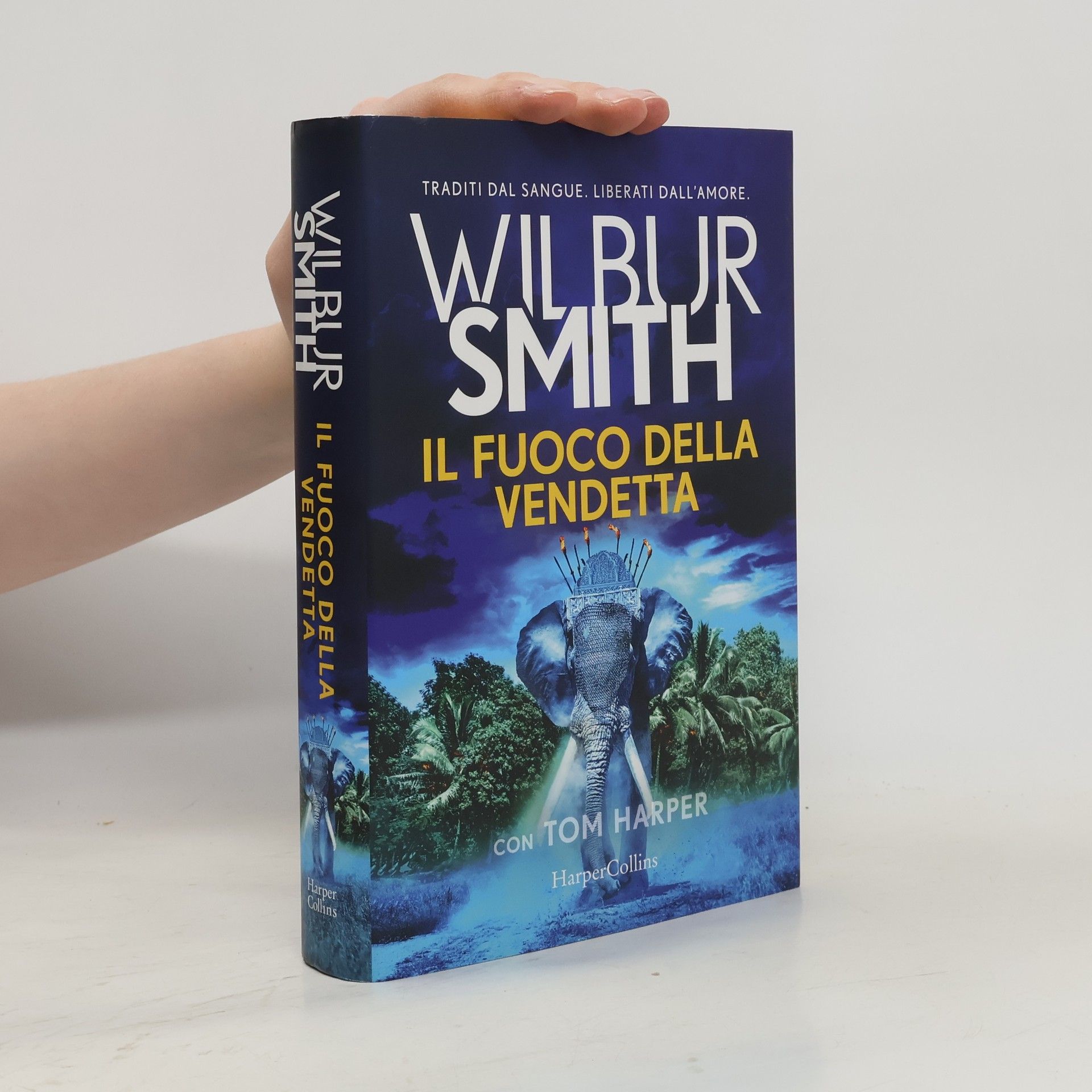 Sara Caraffini Il fuoco della vendetta