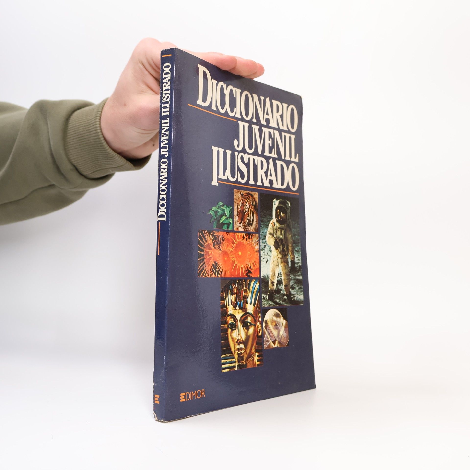 Kolektiv autorů Diccionario juvenil ilustrado