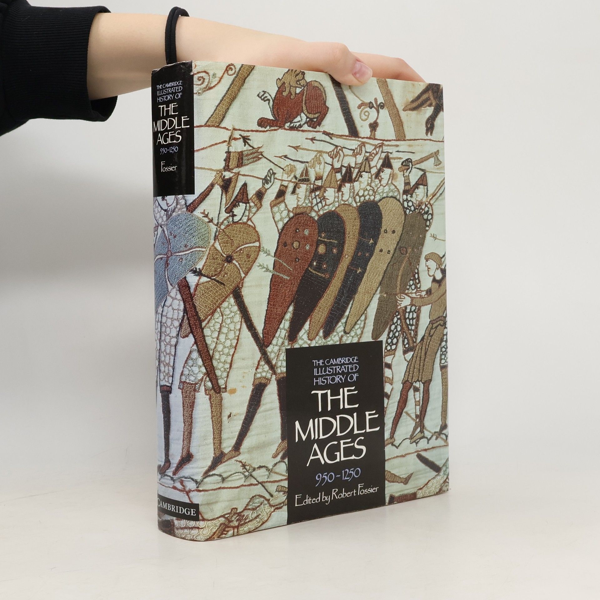 Stuart Airlie The Cambridge Illustrated History of the Middle Ages