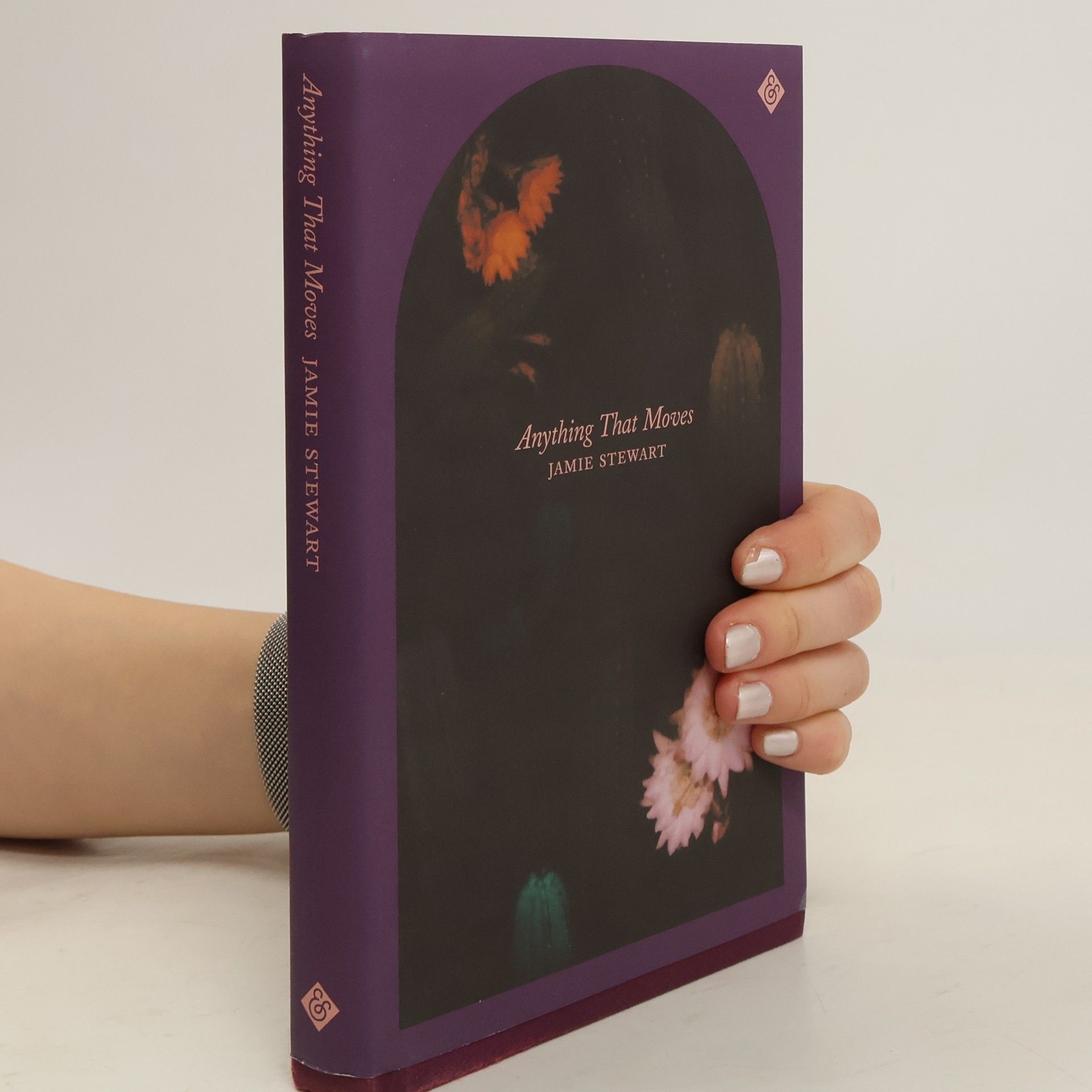 Jamie Stewart Anything That Moves