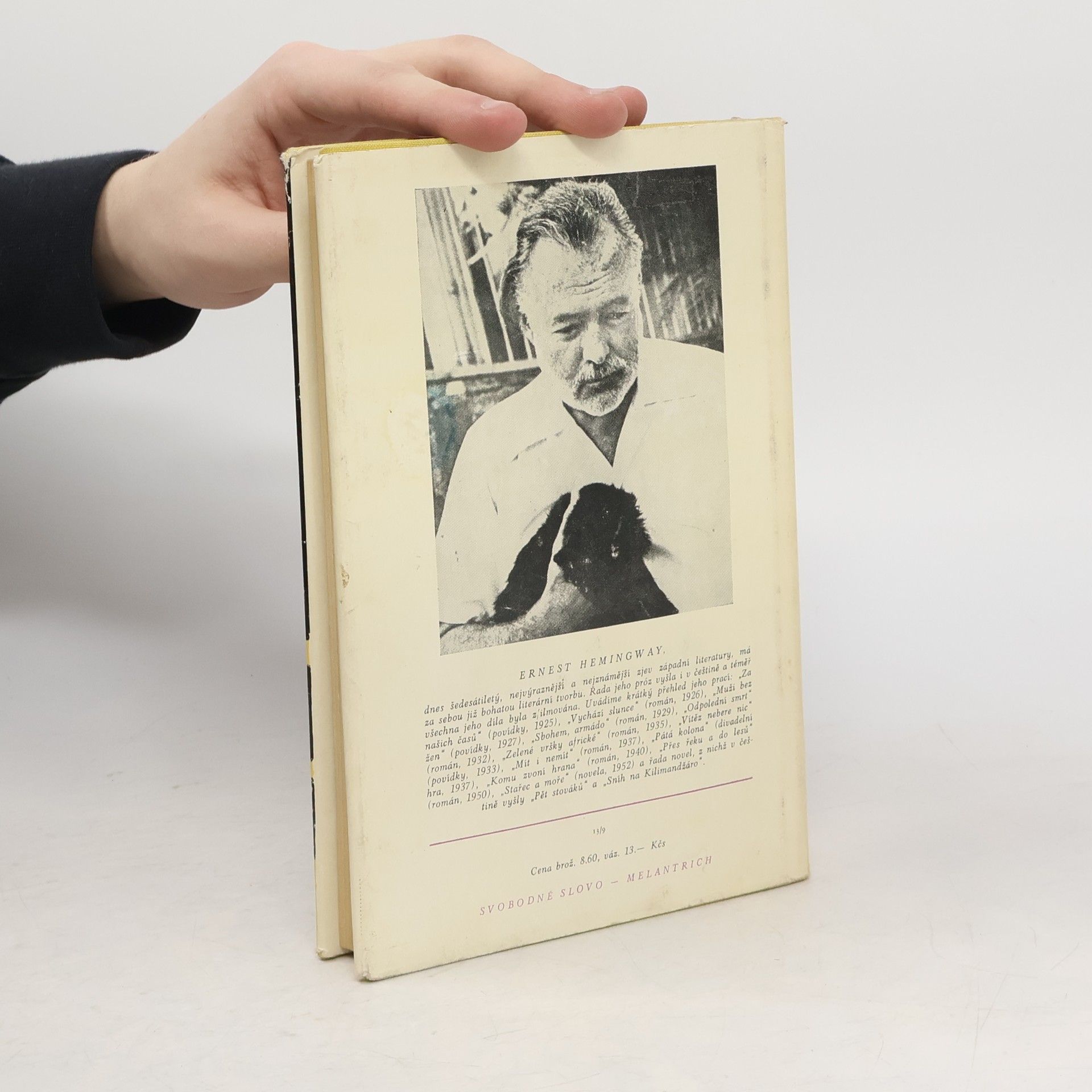 Ernest Hemingway Přes řeku a do lesů