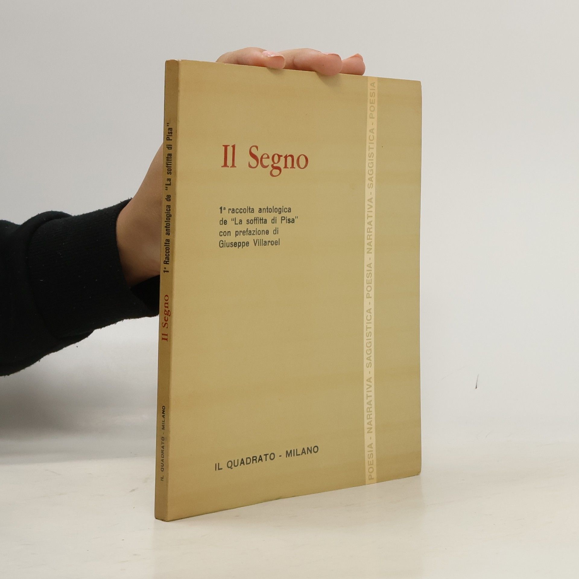 Giuseppe Villaroel Il Segno