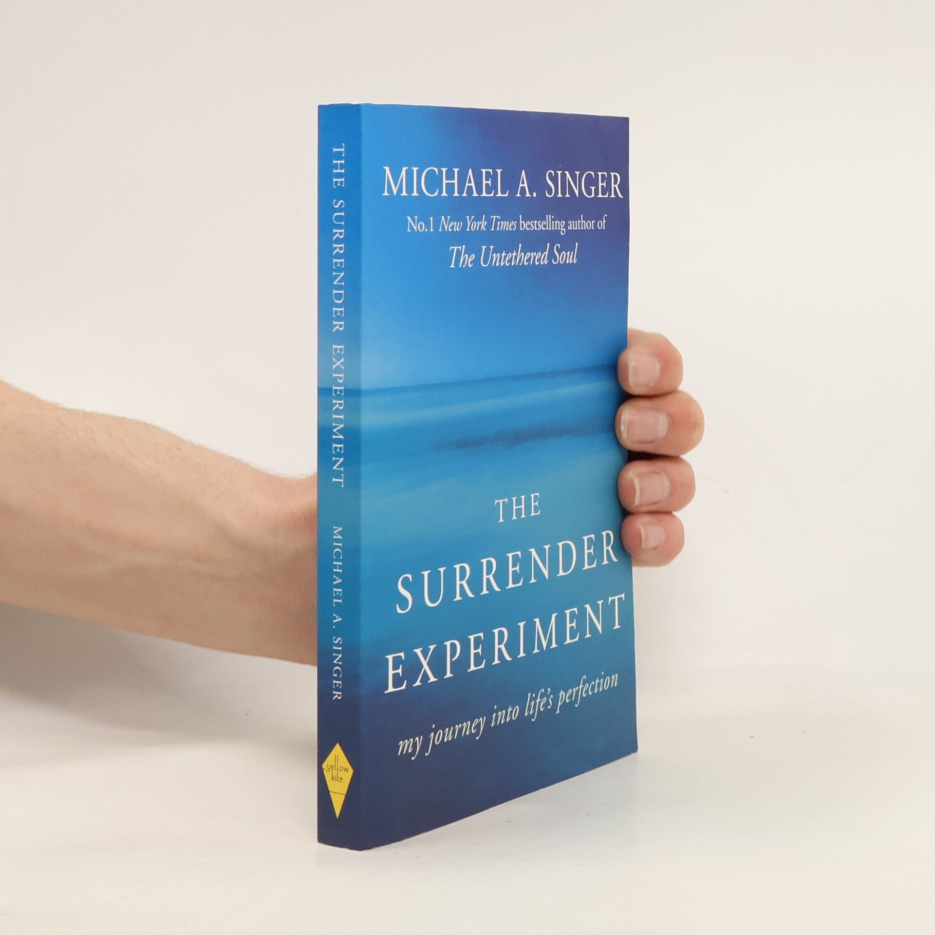 The Surrender Experiment