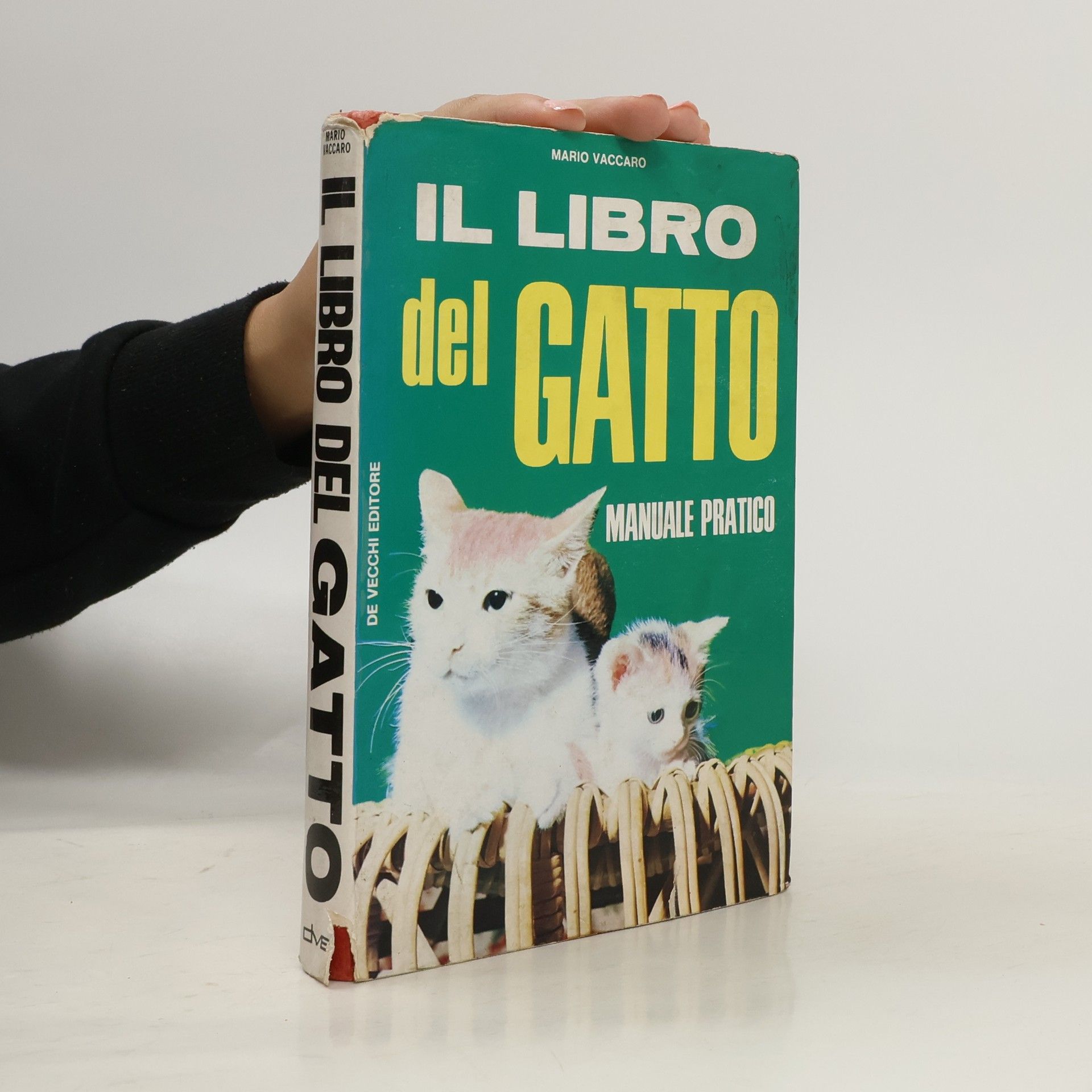 Mario Vaccaro Il libro del gatto