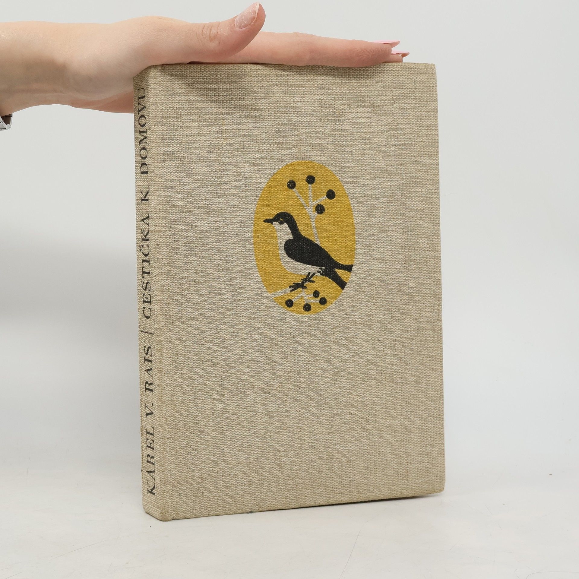 Karel Václav Rais Cestička k domovu