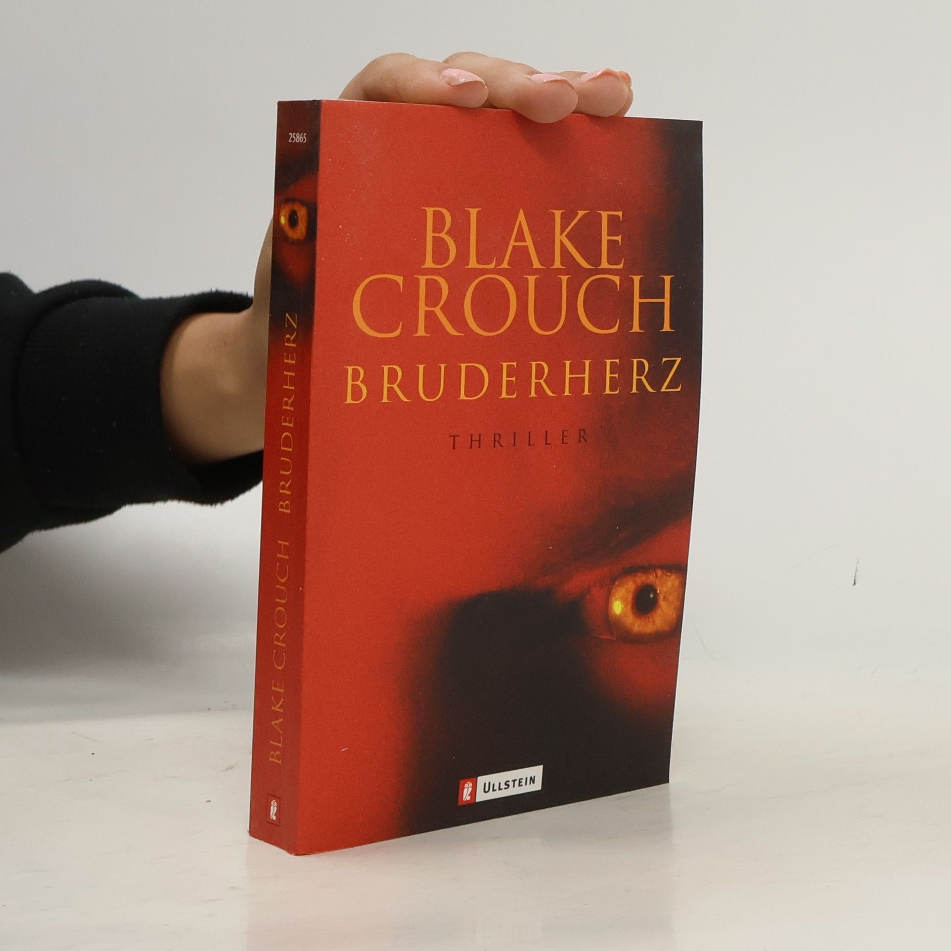 Blake Crouch Bruderherz