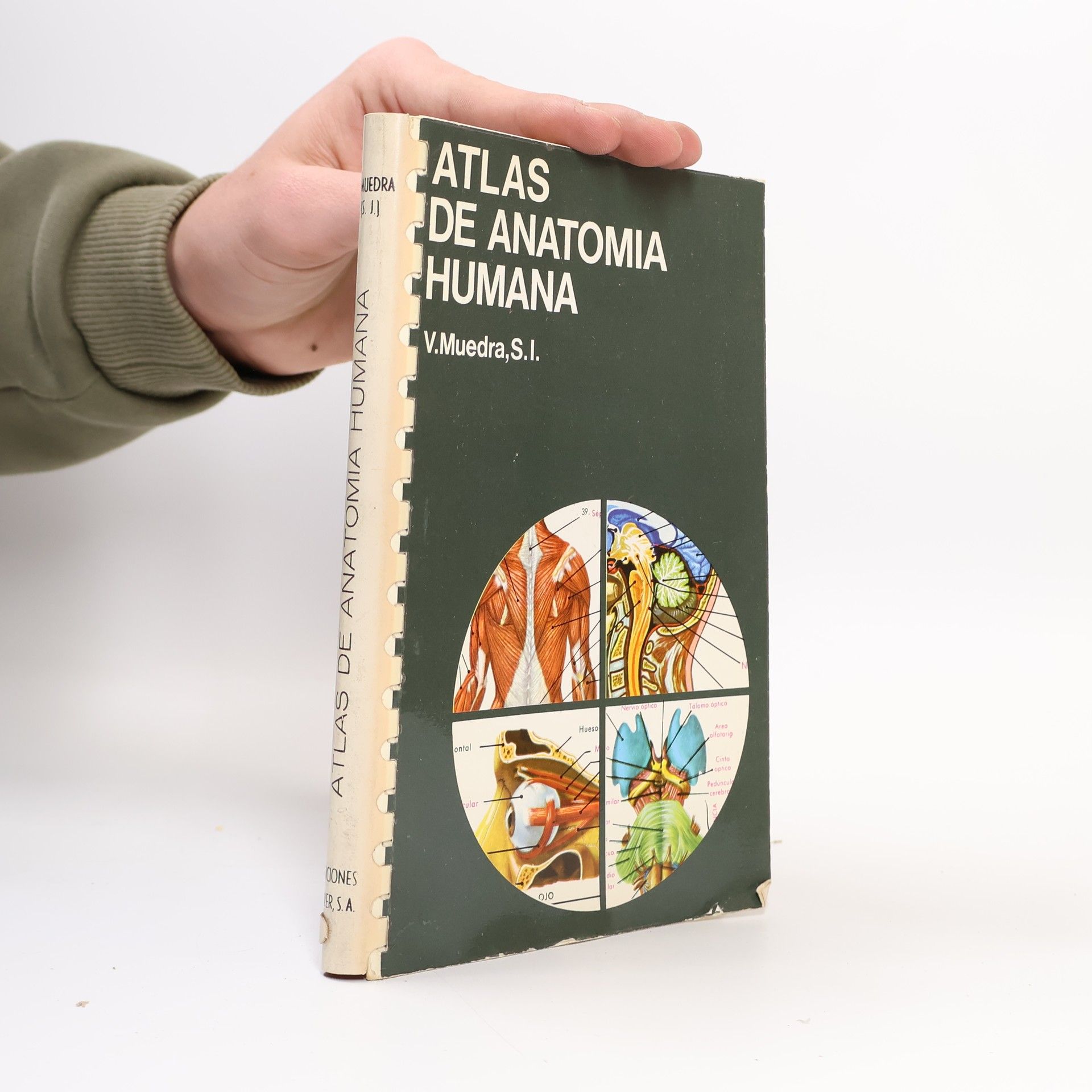 Vicente Muedra Baixauli Atlas de Anatomía Humana