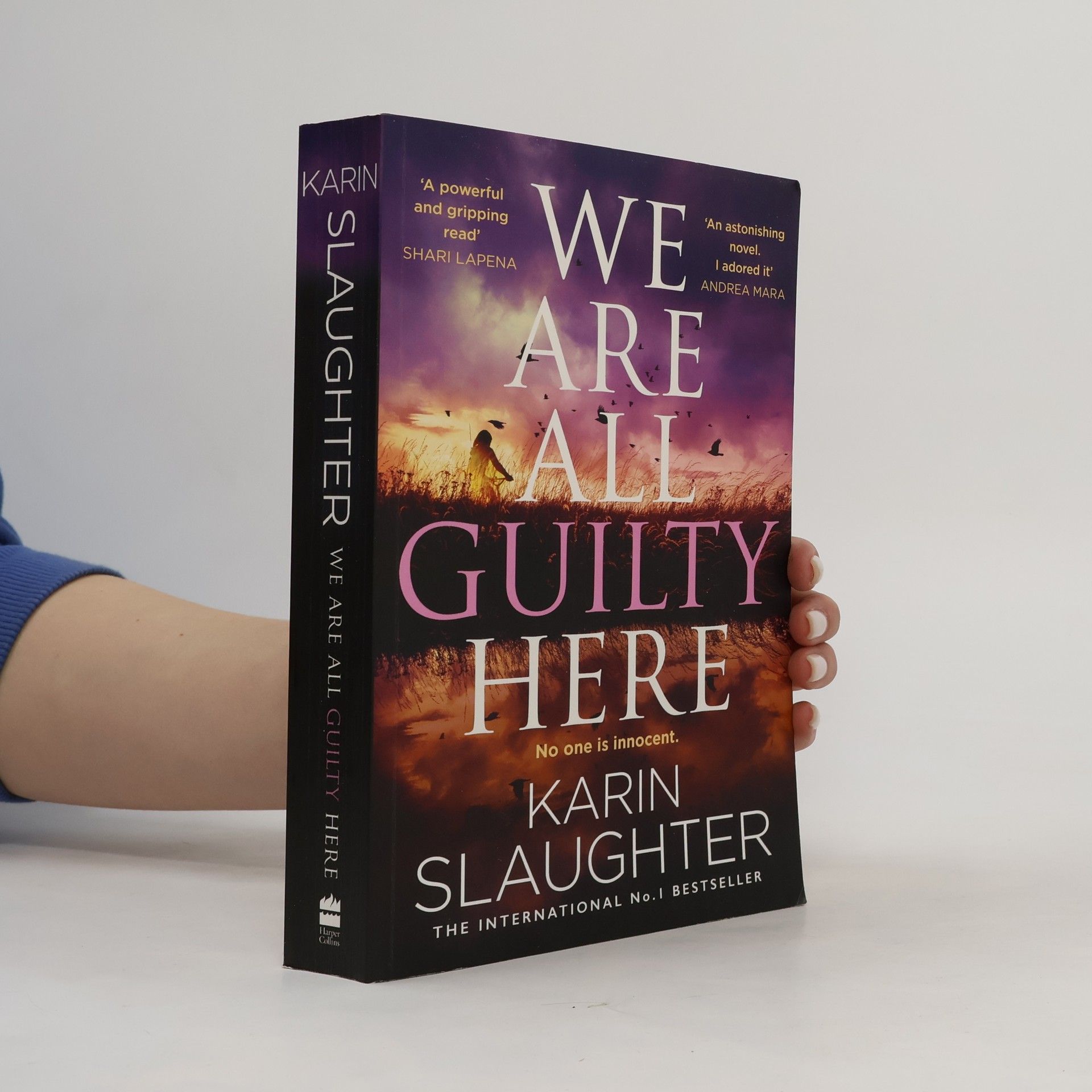 Karin Slaughter We Are All Guilty Here