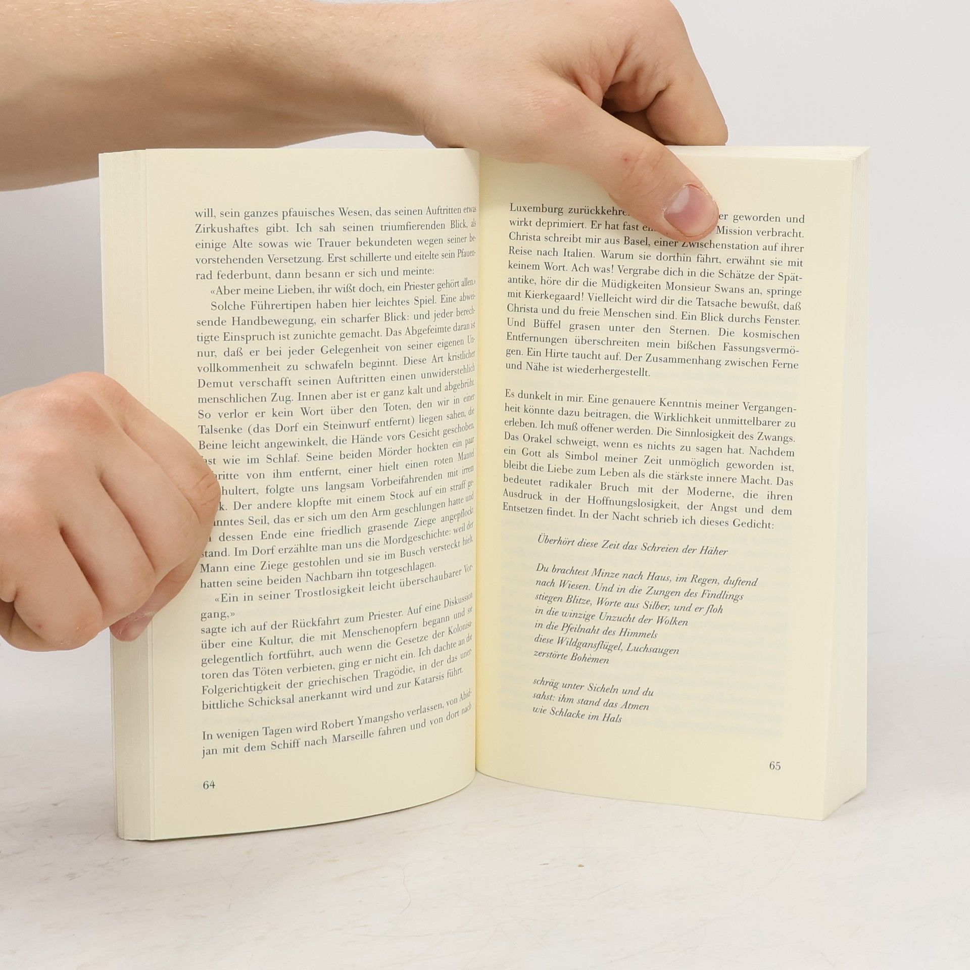 Rolph Ketter Journal eines jungen Narren