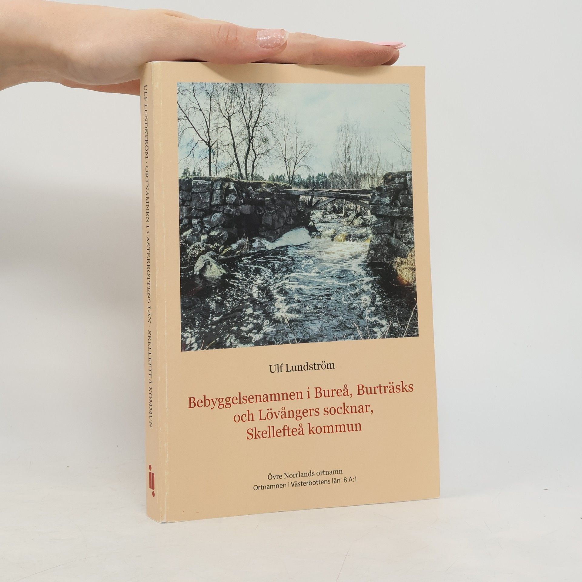 Ulf Lundström Skellefteaa kommun