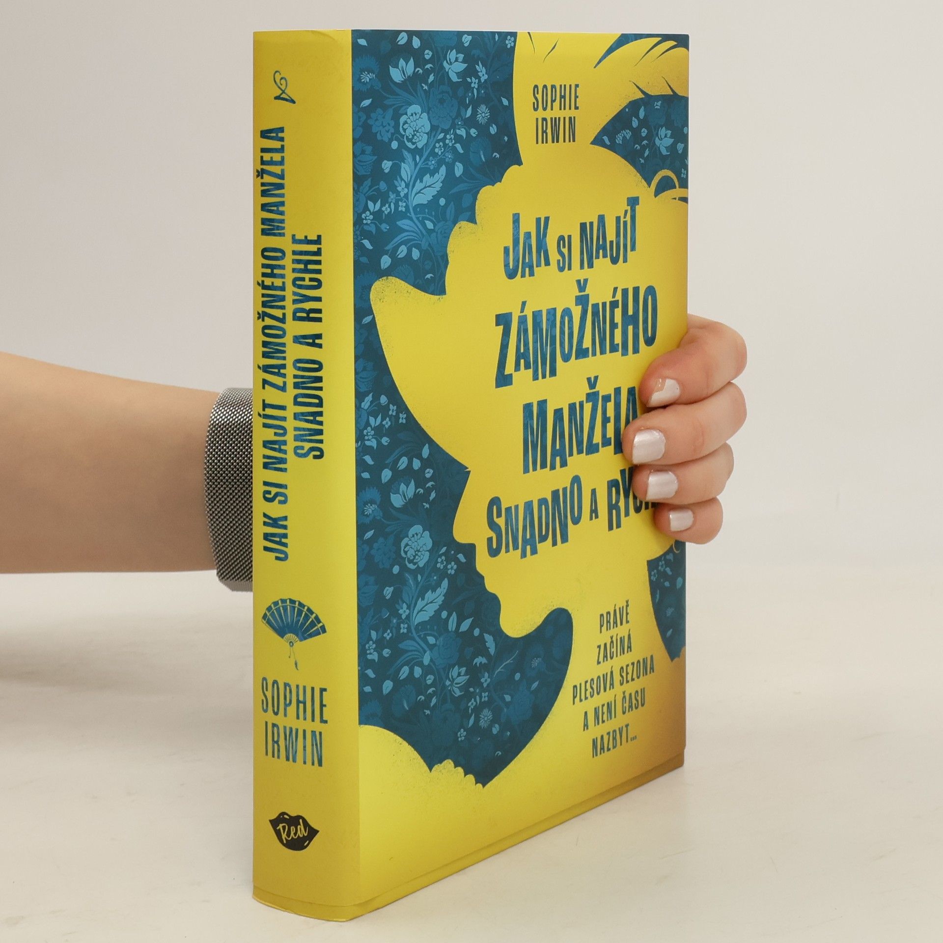 Sophie Irwin Jak si najít zámožného manžela snadno a rychle